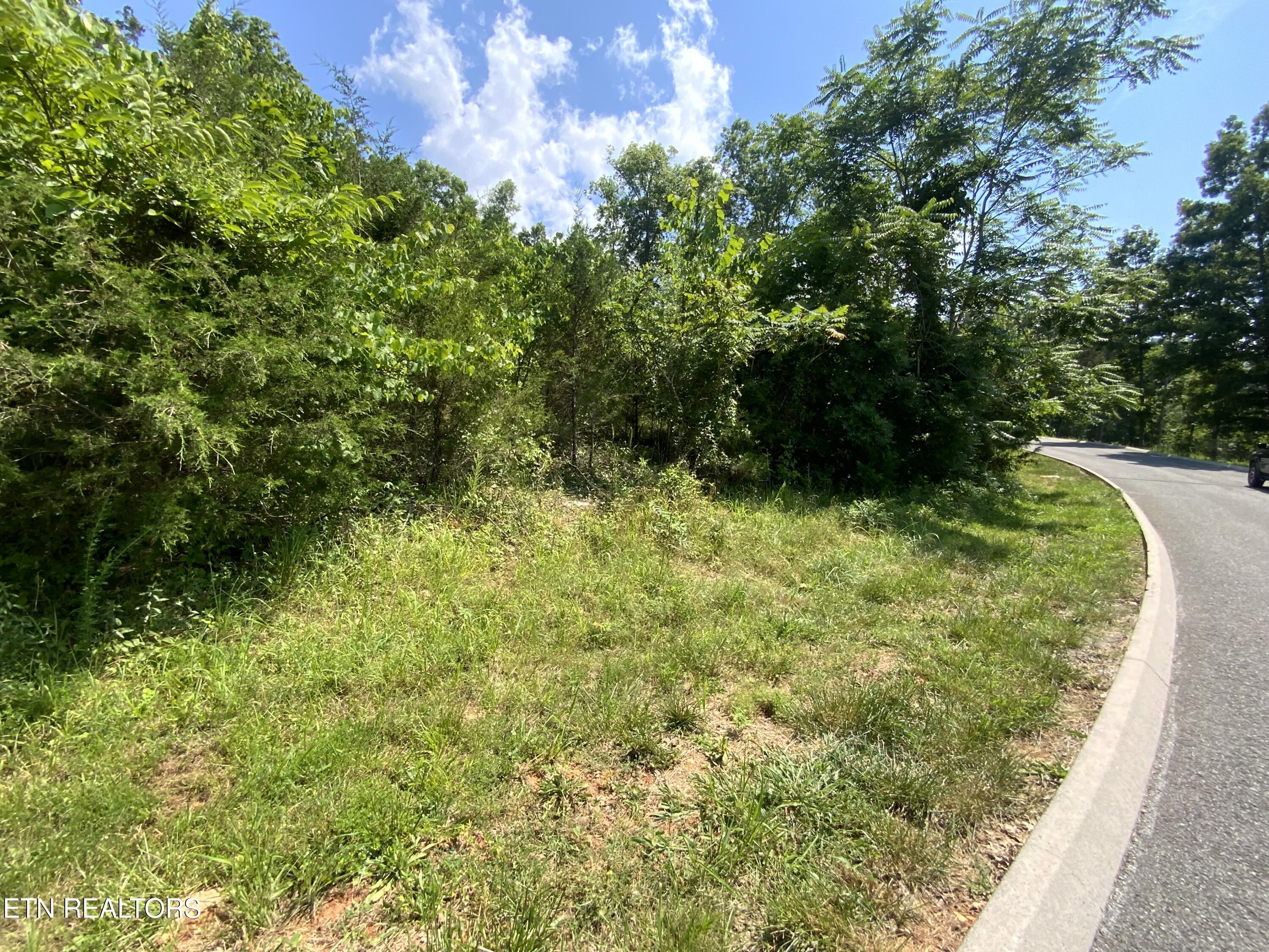 Eagles Ridge, New Tazewell, TN - Norris Lake Real Estate - Image# 3