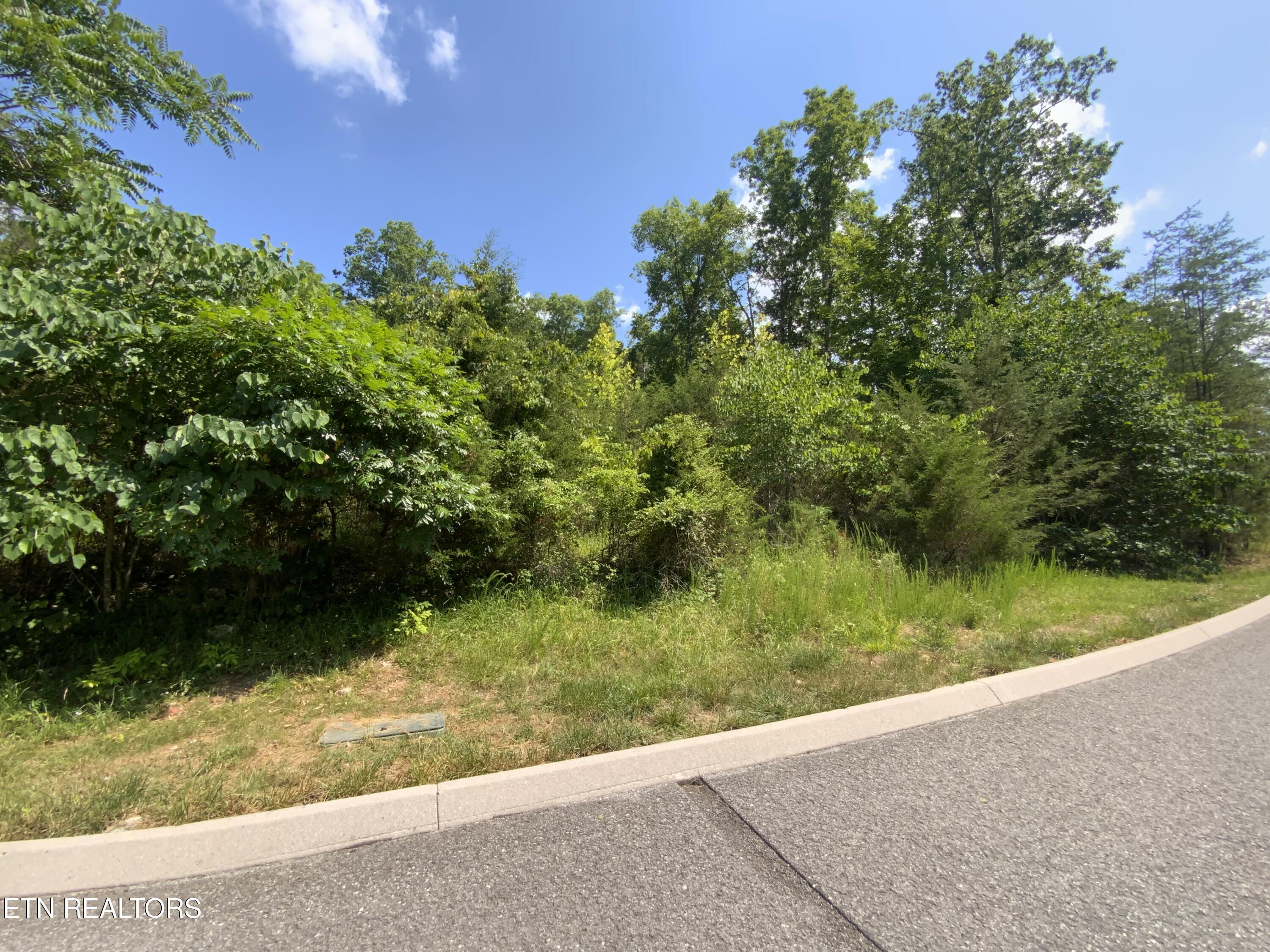 Eagles Ridge, New Tazewell, TN - Norris Lake Real Estate - Image# 4