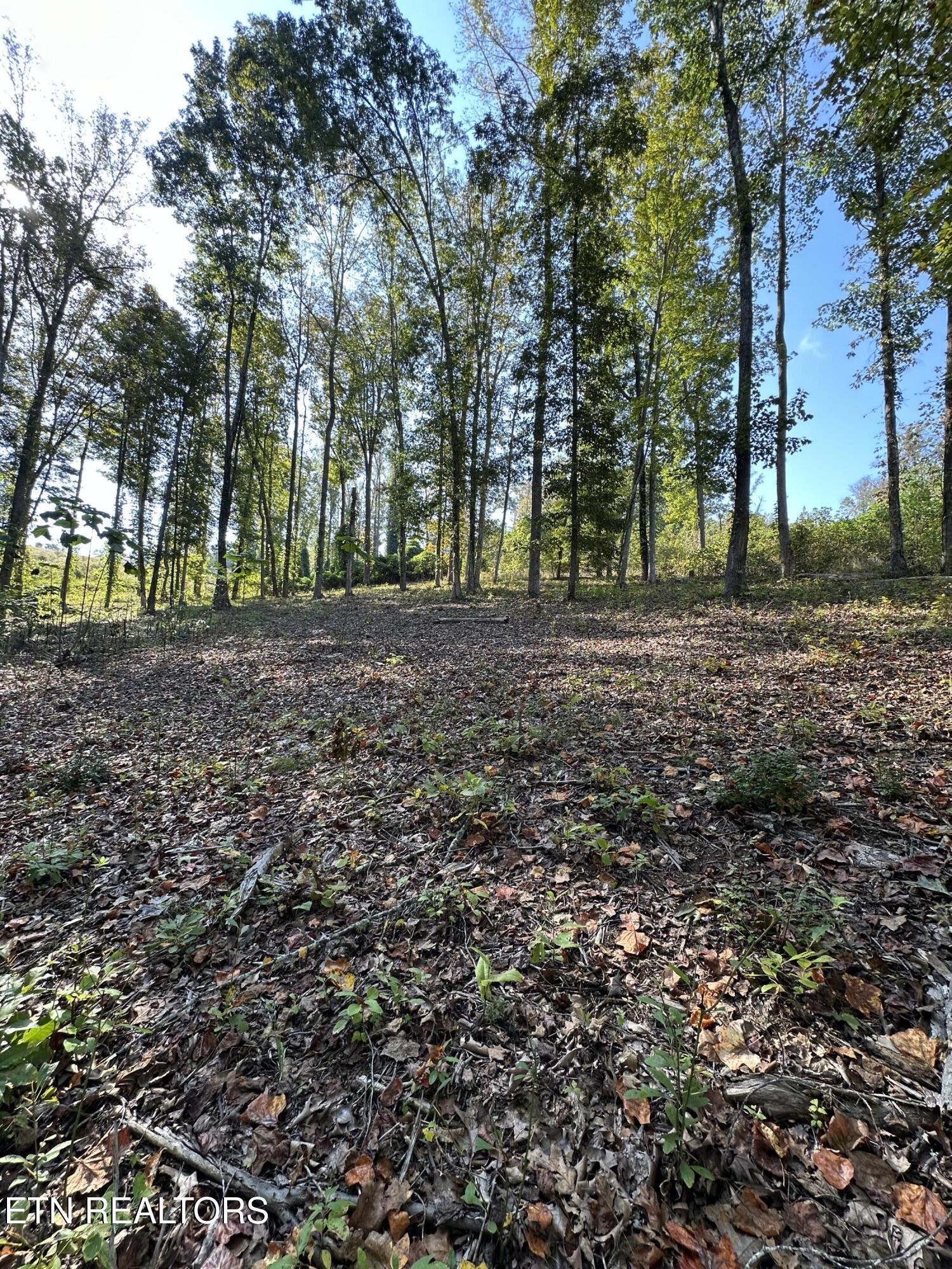 Harbour Club Pl., Andersonville, TN - Norris Lake Real Estate - Image# 11