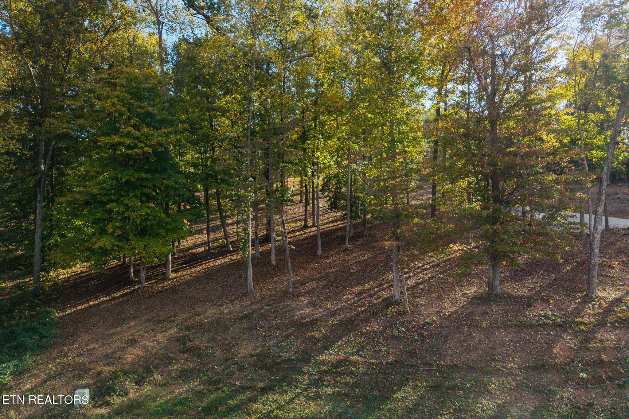 Harbour Club Pl., Andersonville, TN - Norris Lake Real Estate - Image# 6