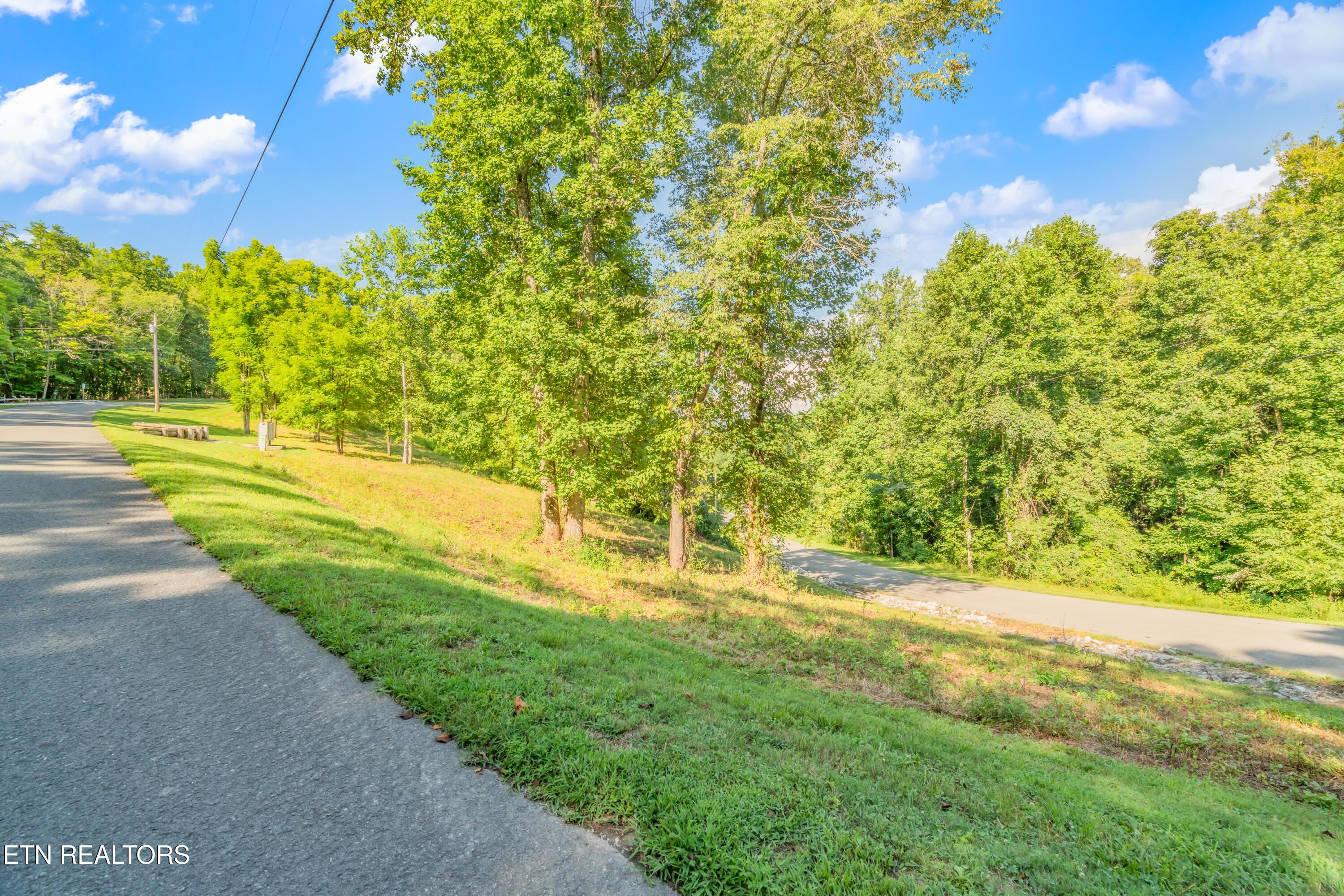 Lot 1 Shanghai Landing Lane, Lafollette, TN - Norris Lake Real Estate - Image# 4