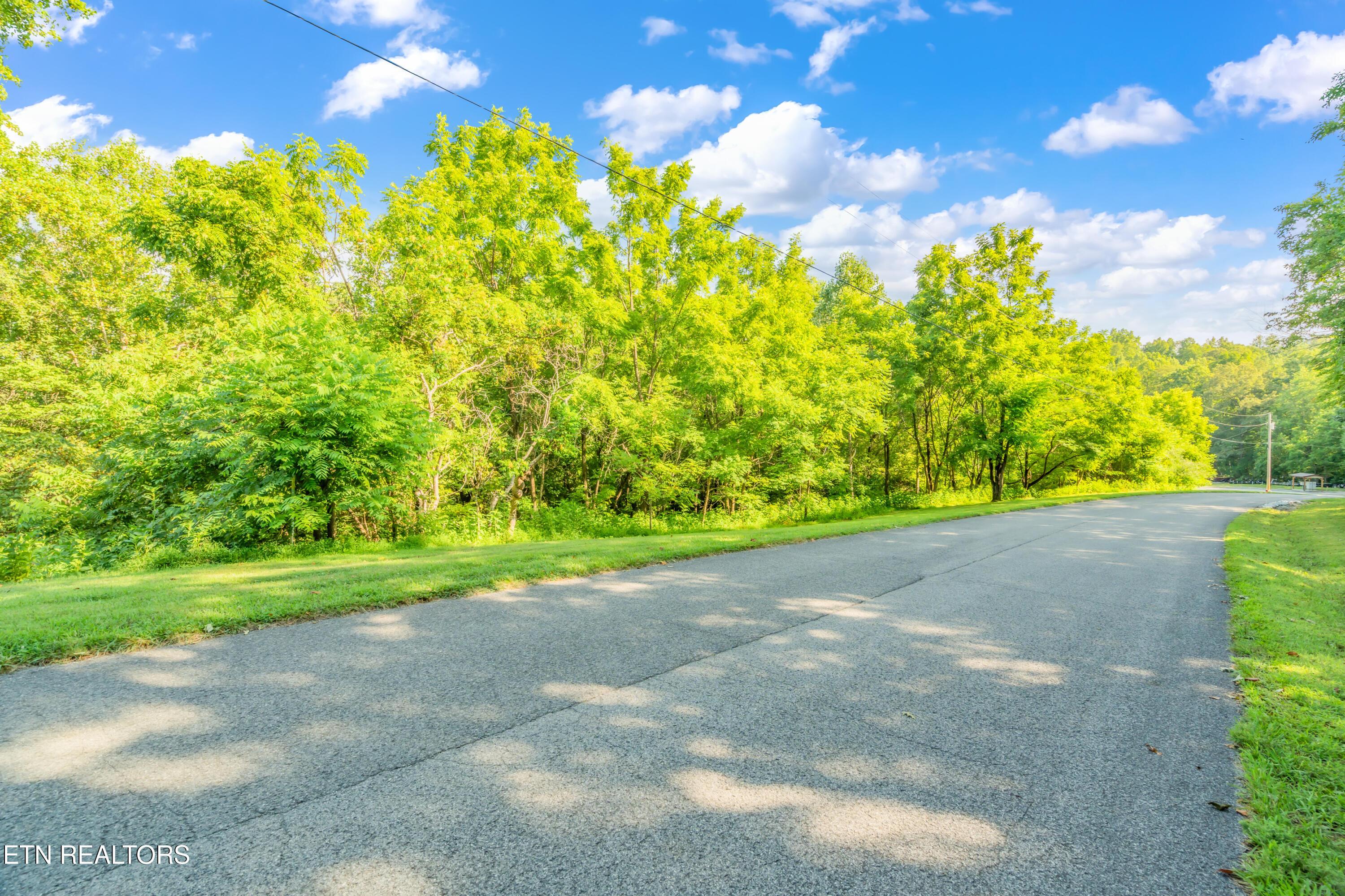 Shanghai Landing Lane, Lafollette, TN - Norris Lake Real Estate - Image# 3