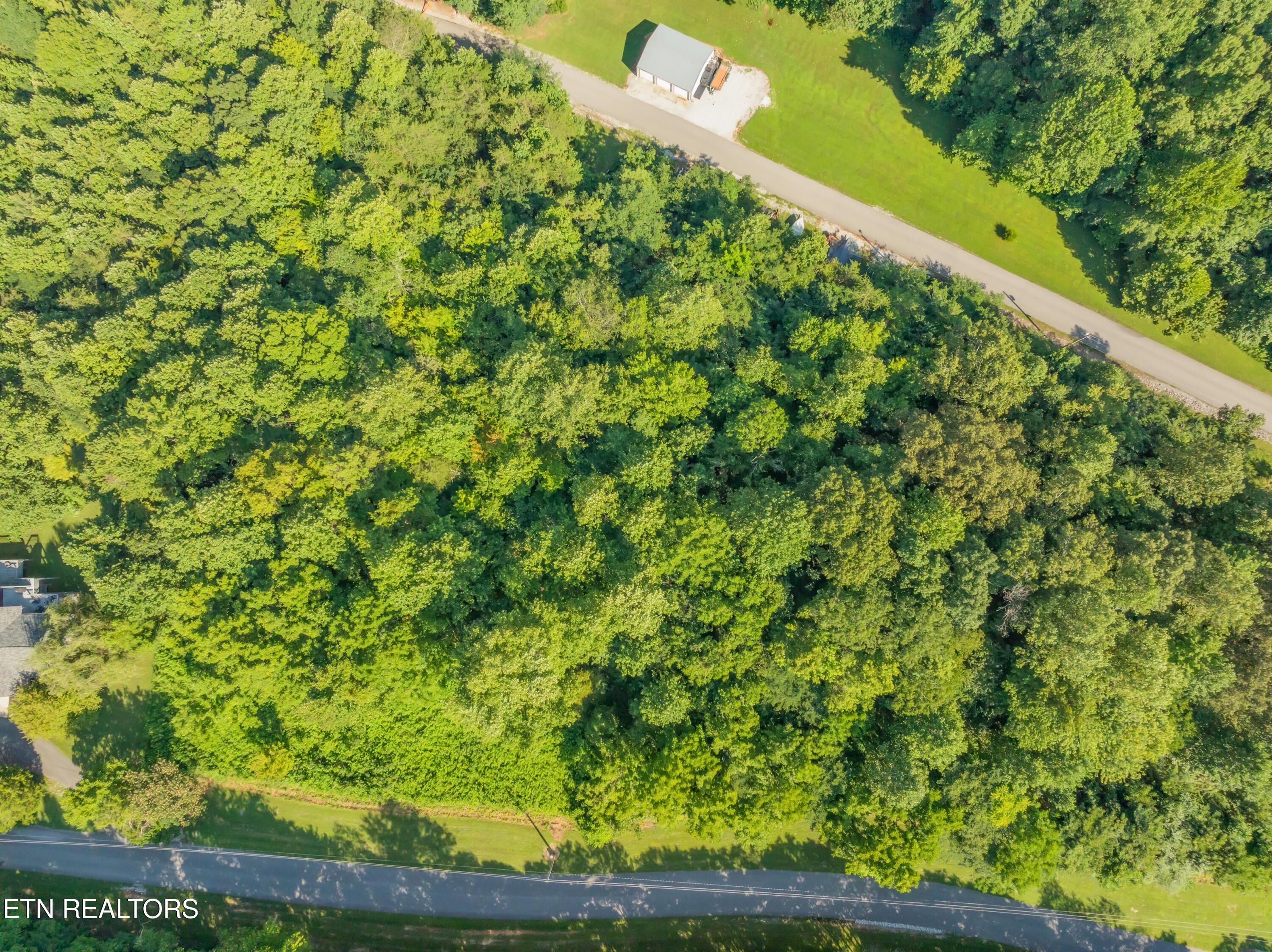 Shanghai Landing Lane, Lafollette, TN - Norris Lake Real Estate - Image# 4