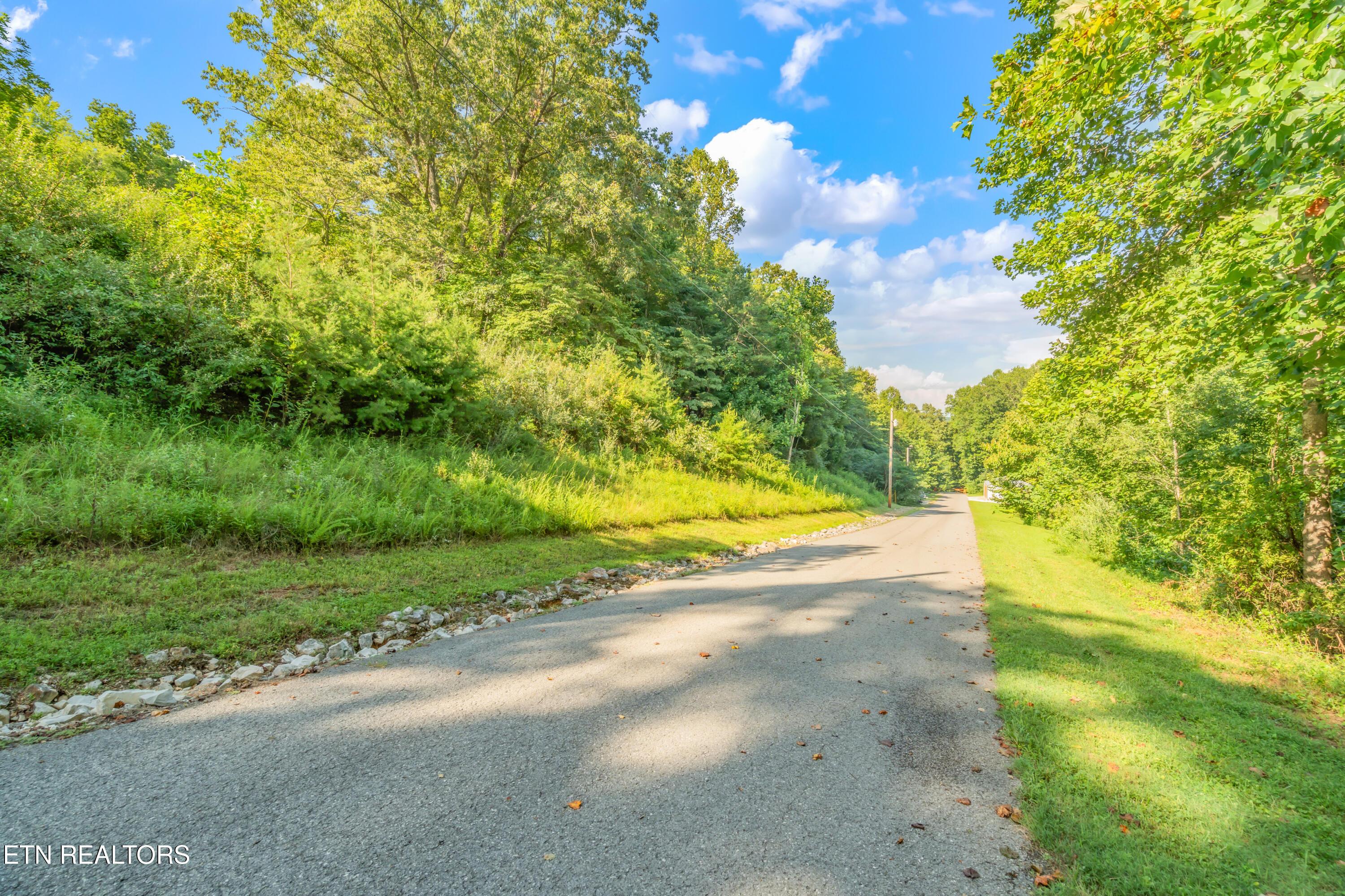 Shanghai Landing Lane, Lafollette, TN - Norris Lake Real Estate - Image# 18
