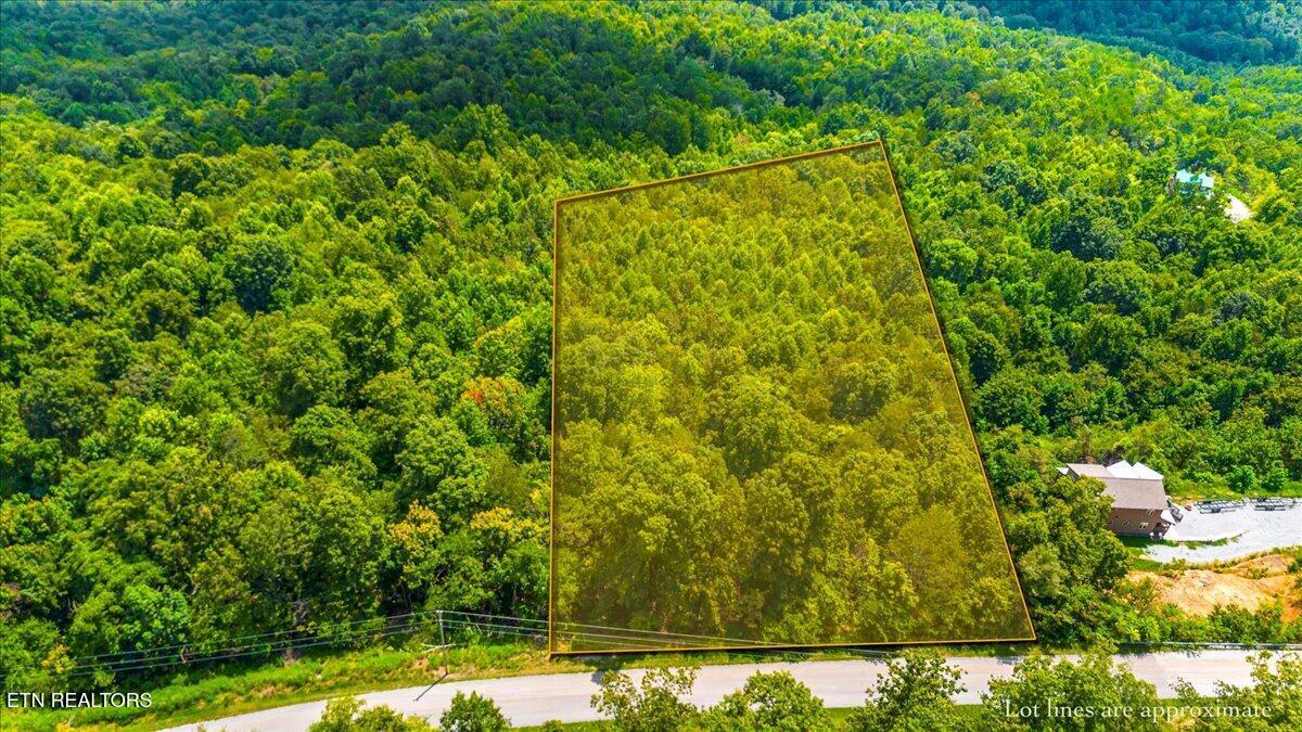 Lot 634 Chimney Rock Rd, New Tazewell, TN - Norris Lake Real Estate - Image# 6