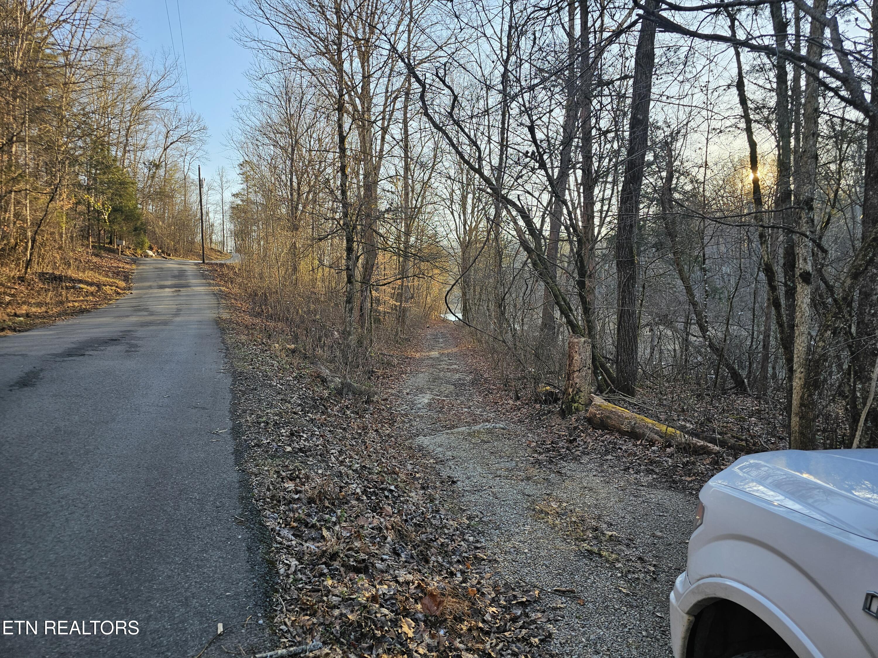 Blue Springs Rd, Speedwell, TN - Norris Lake Real Estate - Image# 6