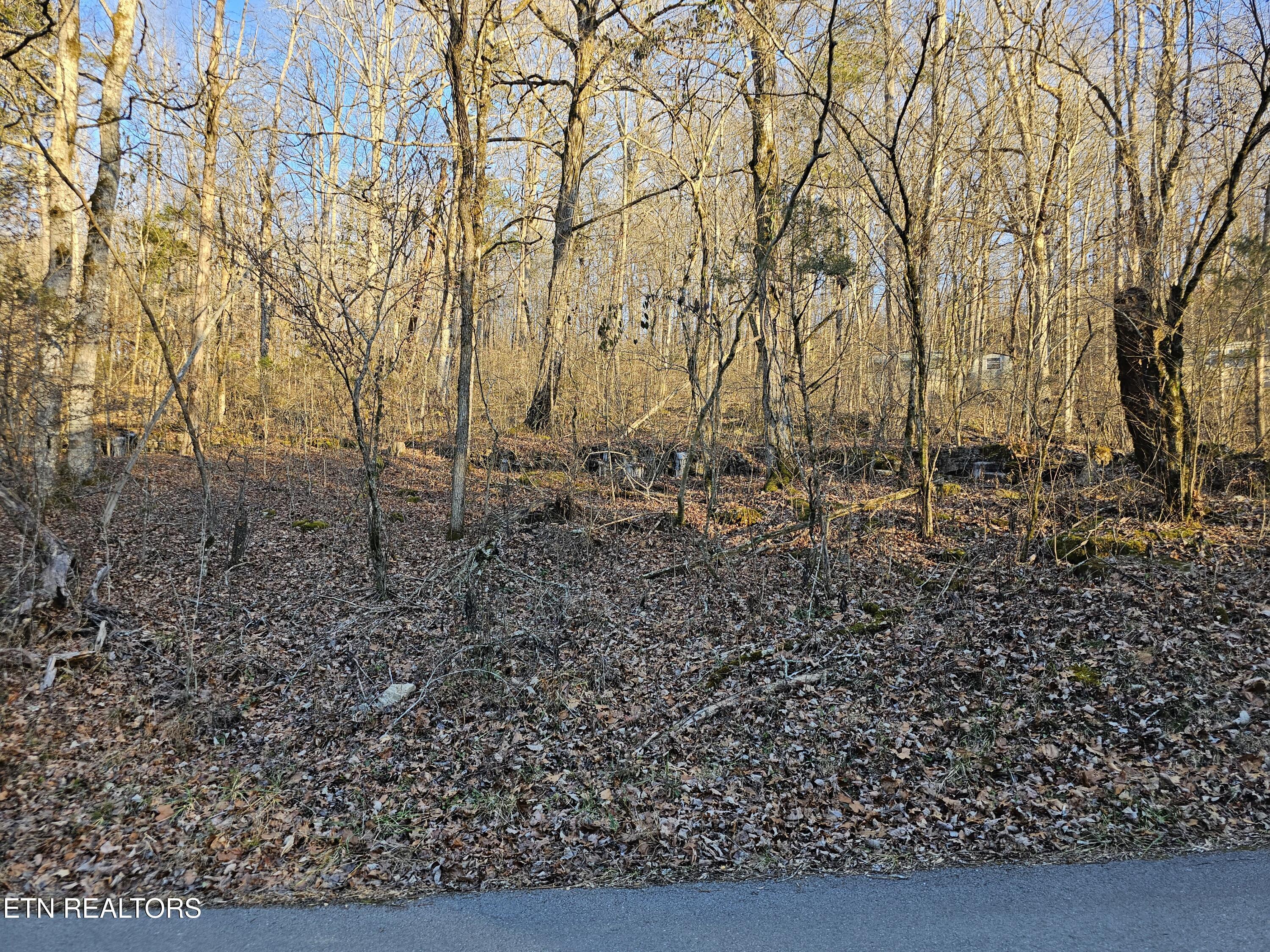 Blue Springs Rd, Speedwell, TN - Norris Lake Real Estate - Image# 1