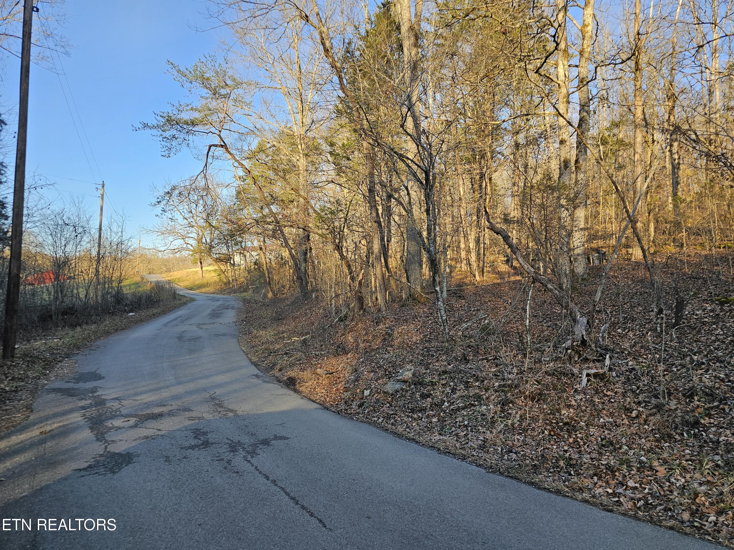 Blue Springs Rd, Speedwell, TN - Norris Lake Real Estate - Image# 3