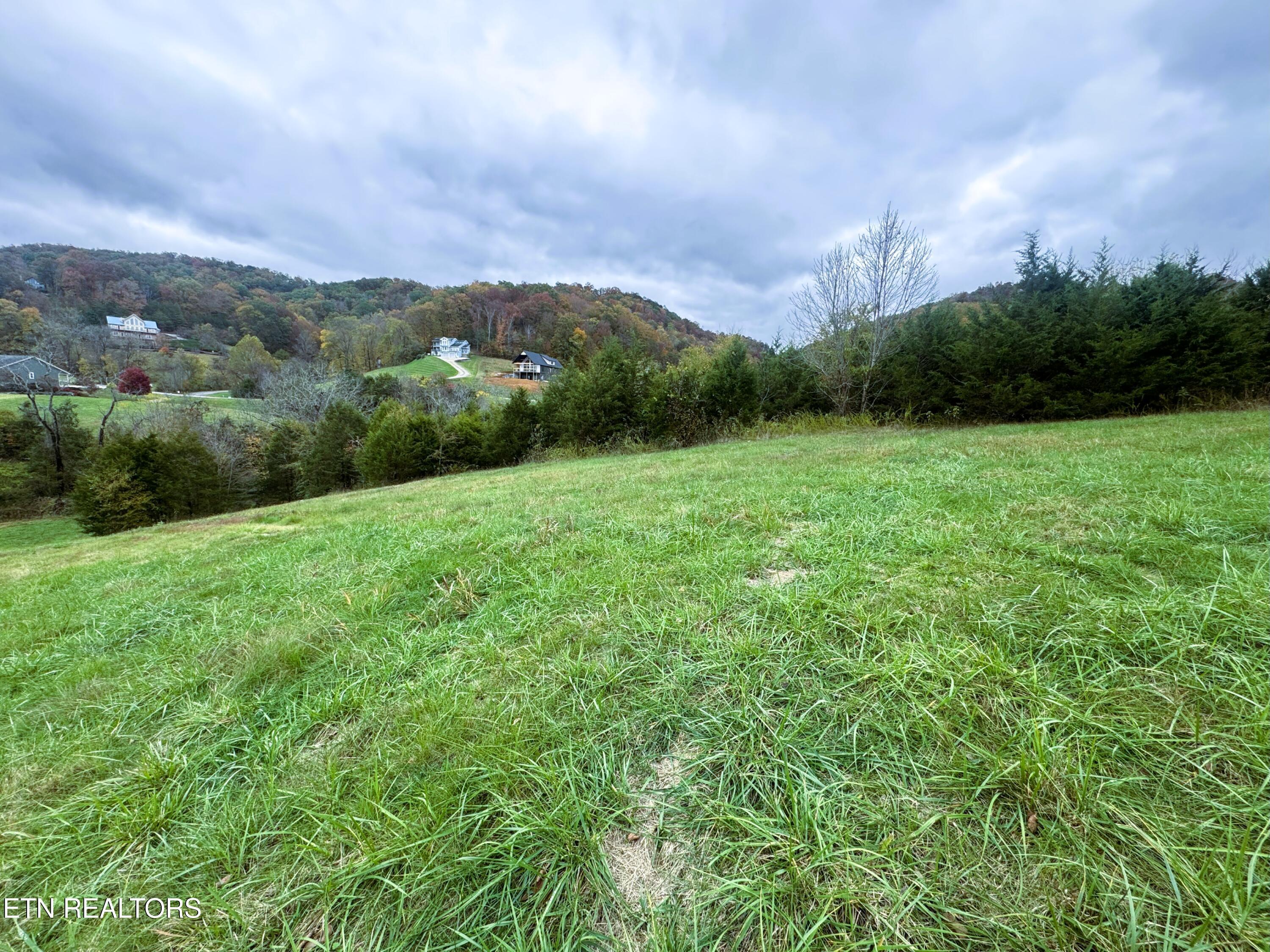 Norris Lake Real Estate - Image# 1