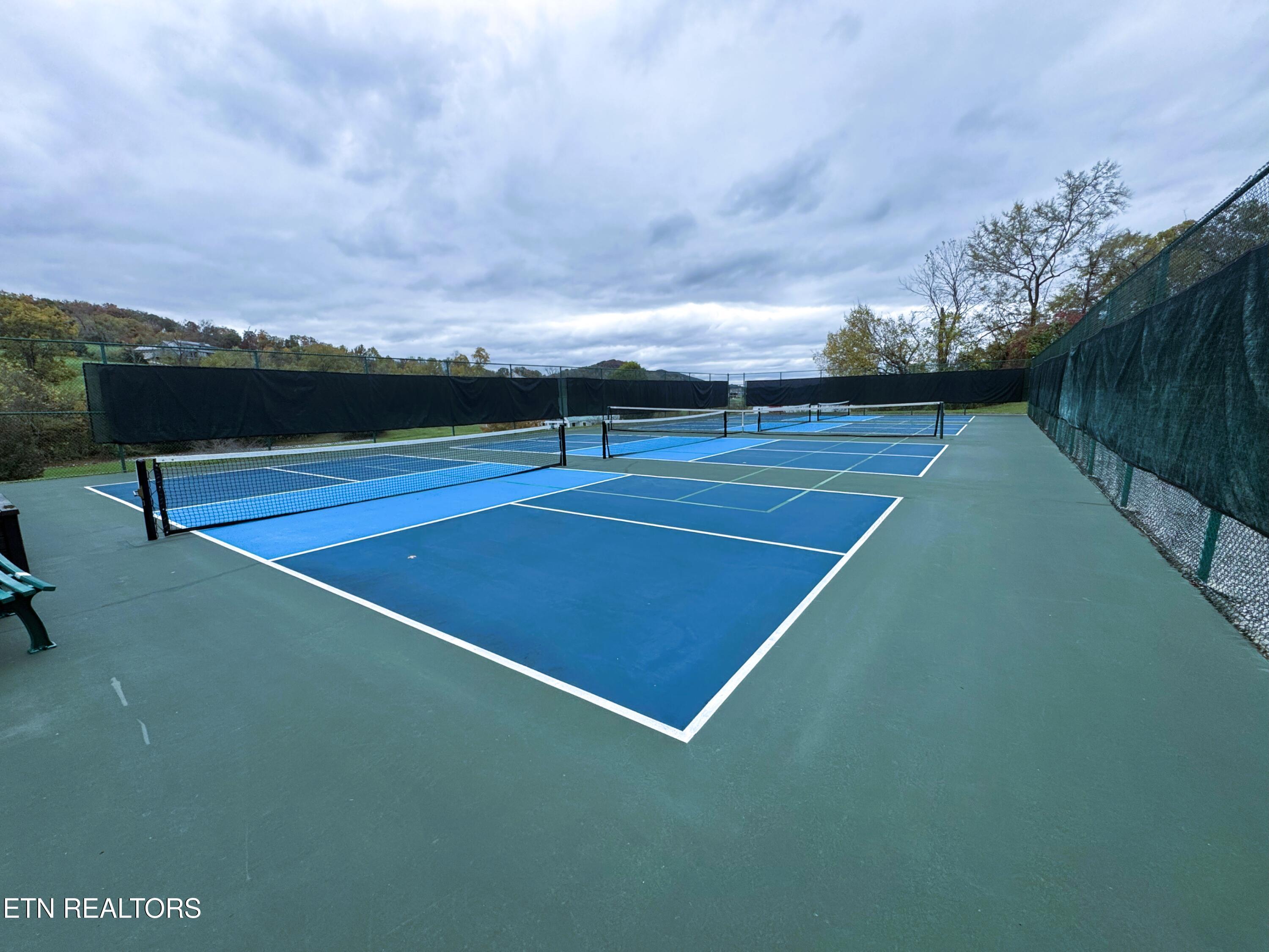Norris Lake Real Estate - Image# 9