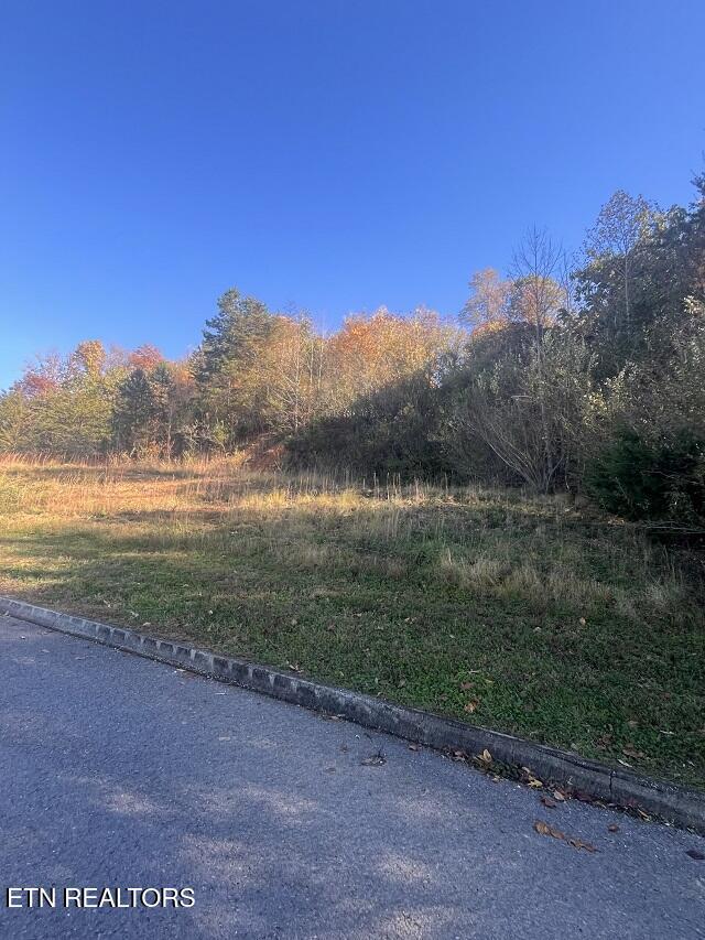 Norris Lake Real Estate - Image# 5