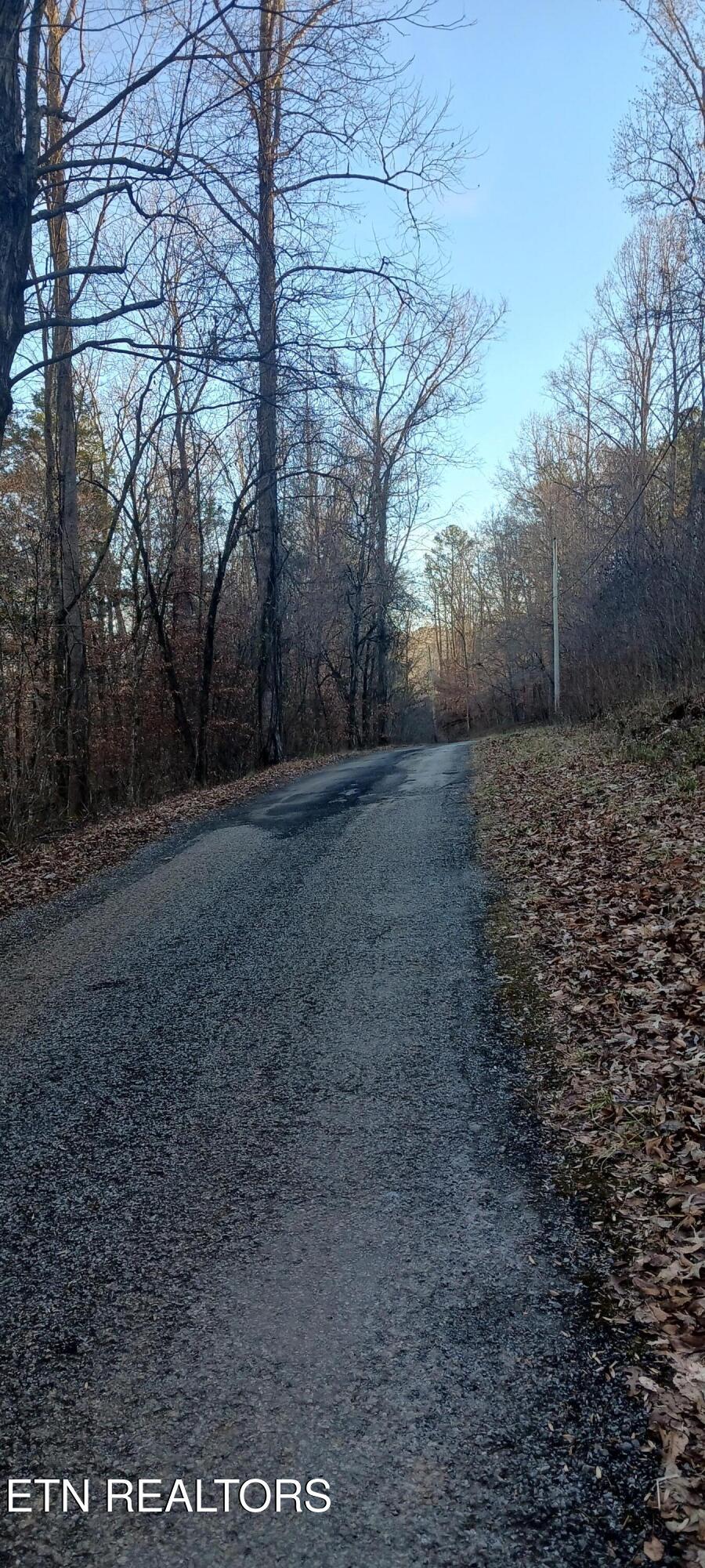 Norris Lake Real Estate - Image# 4