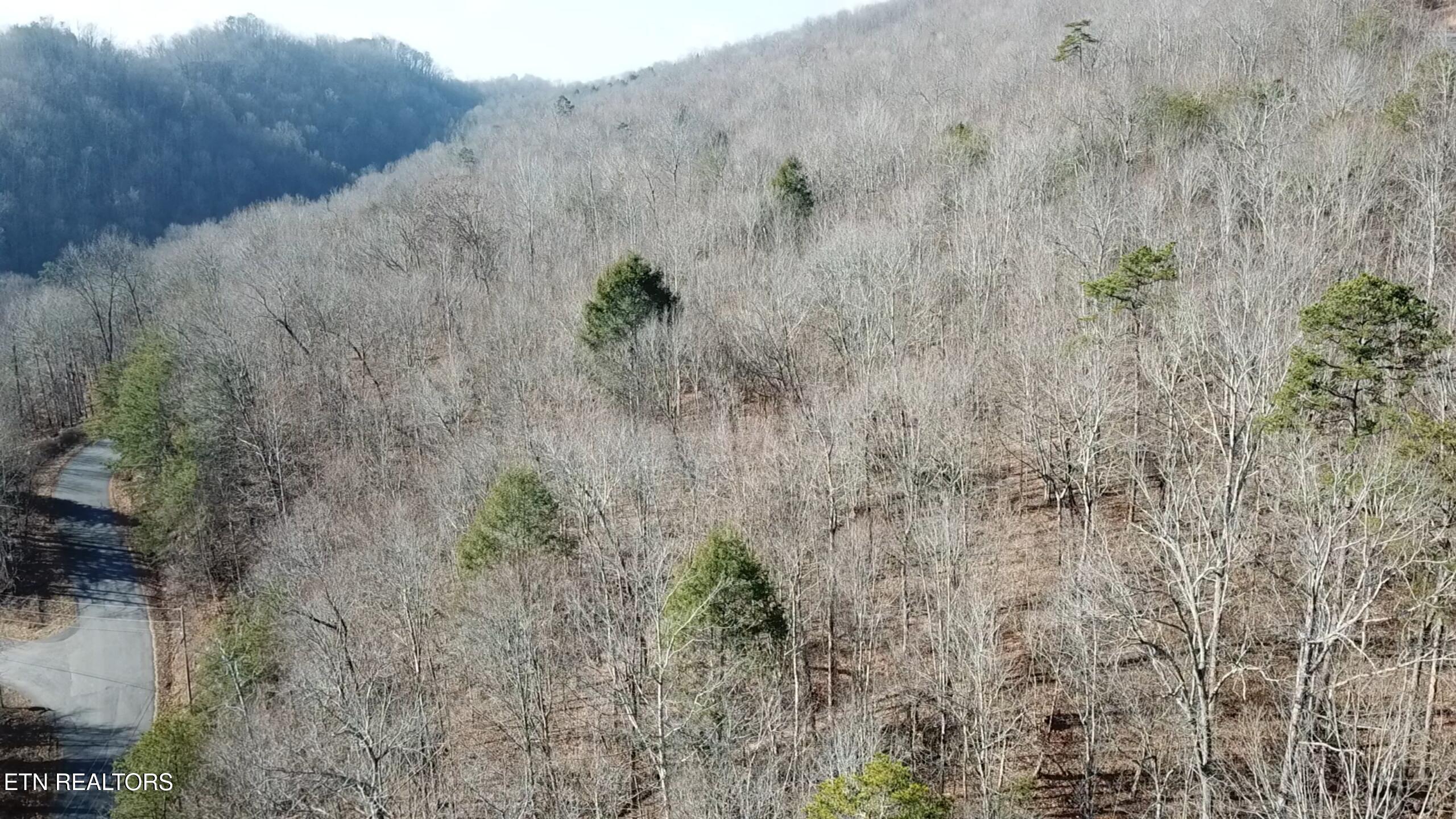 Lot 142 Whistle Valley Rd, New Tazewell, TN - Norris Lake Real Estate - Image# 2