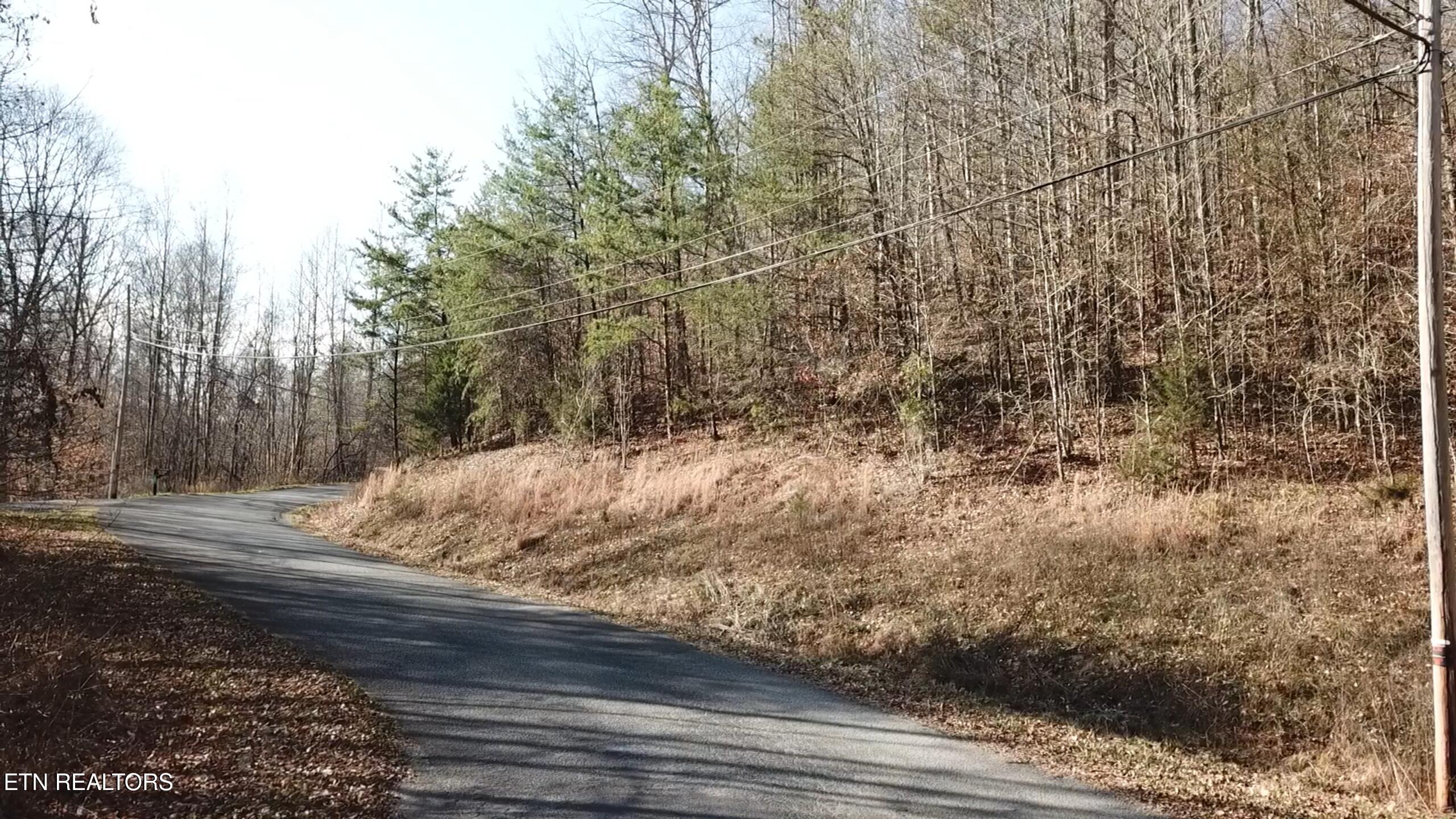 Lot 142 Whistle Valley Rd, New Tazewell, TN - Norris Lake Real Estate - Image# 5