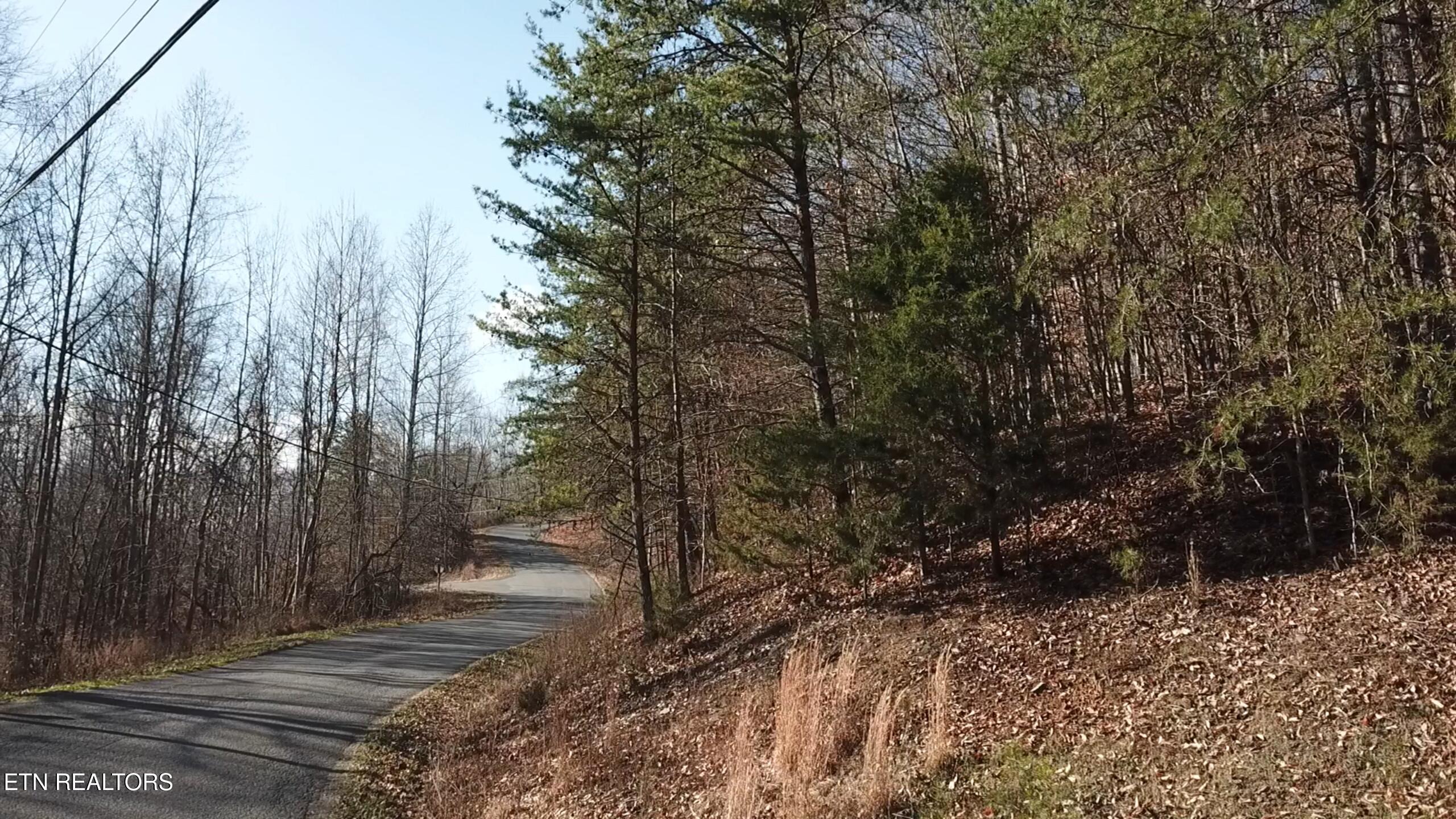 Lot 142 Whistle Valley Rd, New Tazewell, TN - Norris Lake Real Estate - Image# 7