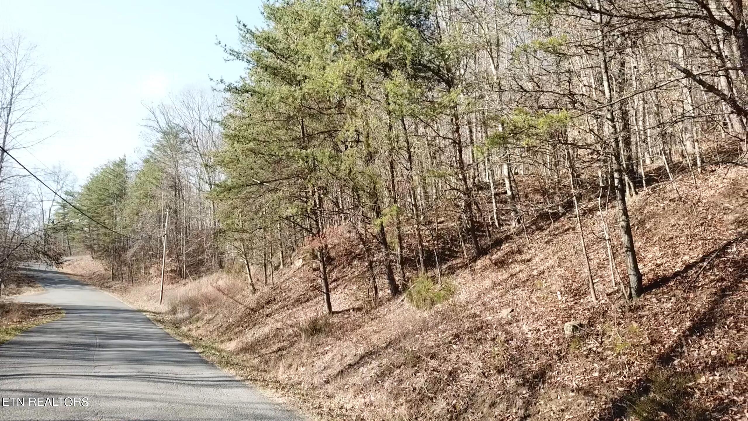 Lot 142 Whistle Valley Rd, New Tazewell, TN - Norris Lake Real Estate - Image# 8
