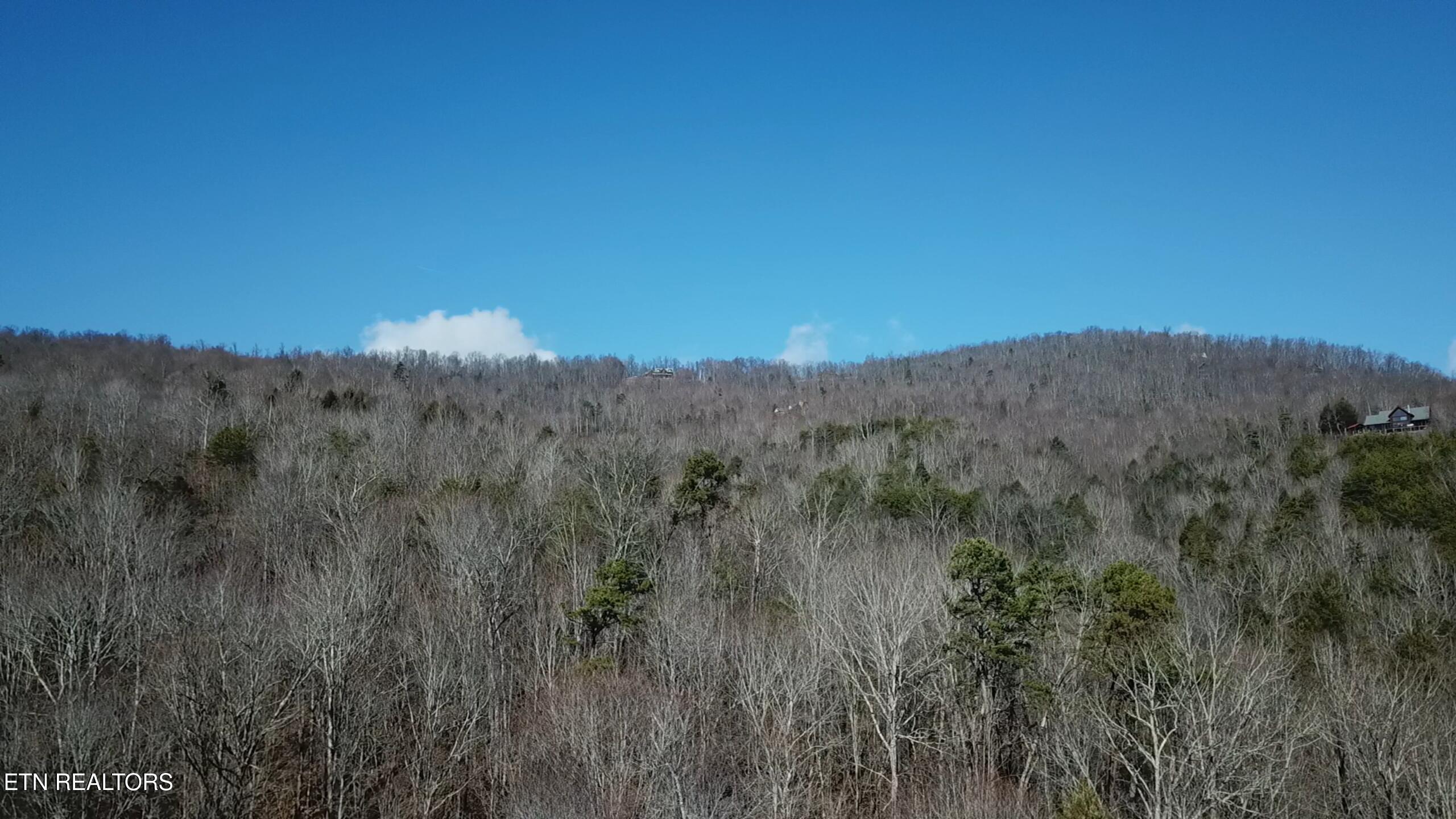 Lot 142 Whistle Valley Rd, New Tazewell, TN - Norris Lake Real Estate - Image# 11