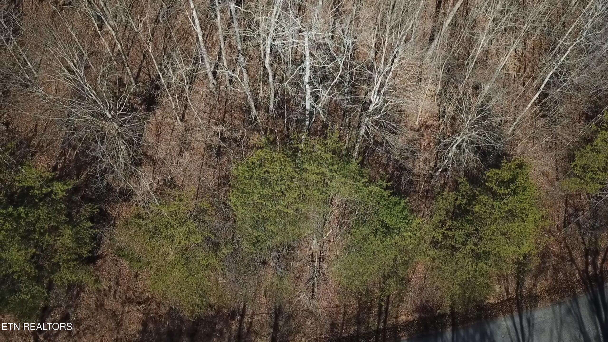 Lot 142 Whistle Valley Rd, New Tazewell, TN - Norris Lake Real Estate - Image# 13