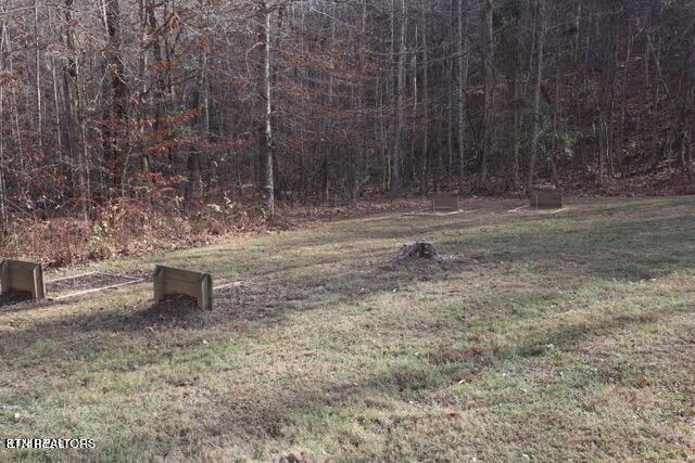 Lot 142 Whistle Valley Rd, New Tazewell, TN - Norris Lake Real Estate - Image# 23