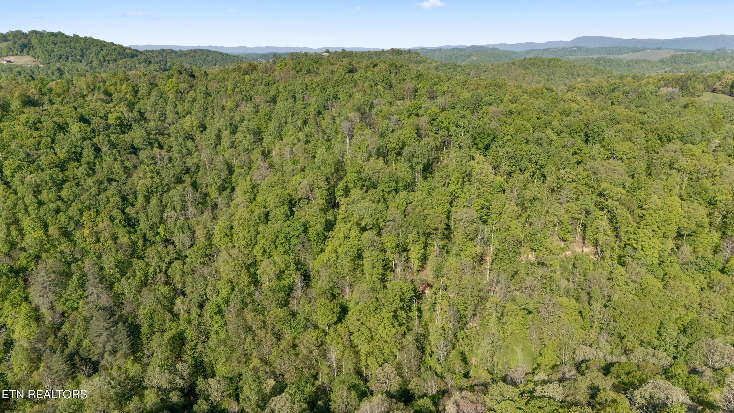 Bunch Hollow Rd, New Tazewell, TN - Norris Lake Real Estate - Image# 7