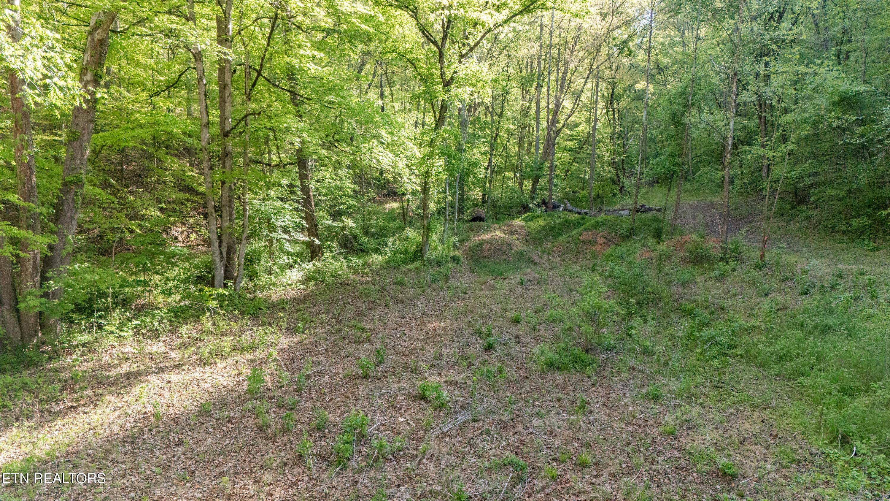 Bunch Hollow Rd, New Tazewell, TN - Norris Lake Real Estate - Image# 9
