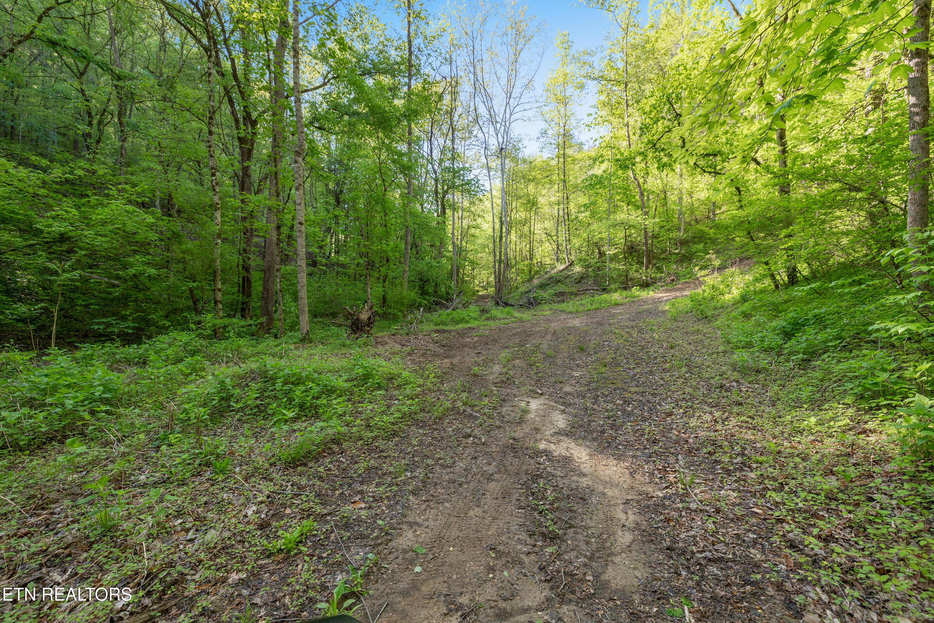 Bunch Hollow Rd, New Tazewell, TN - Norris Lake Real Estate - Image# 21