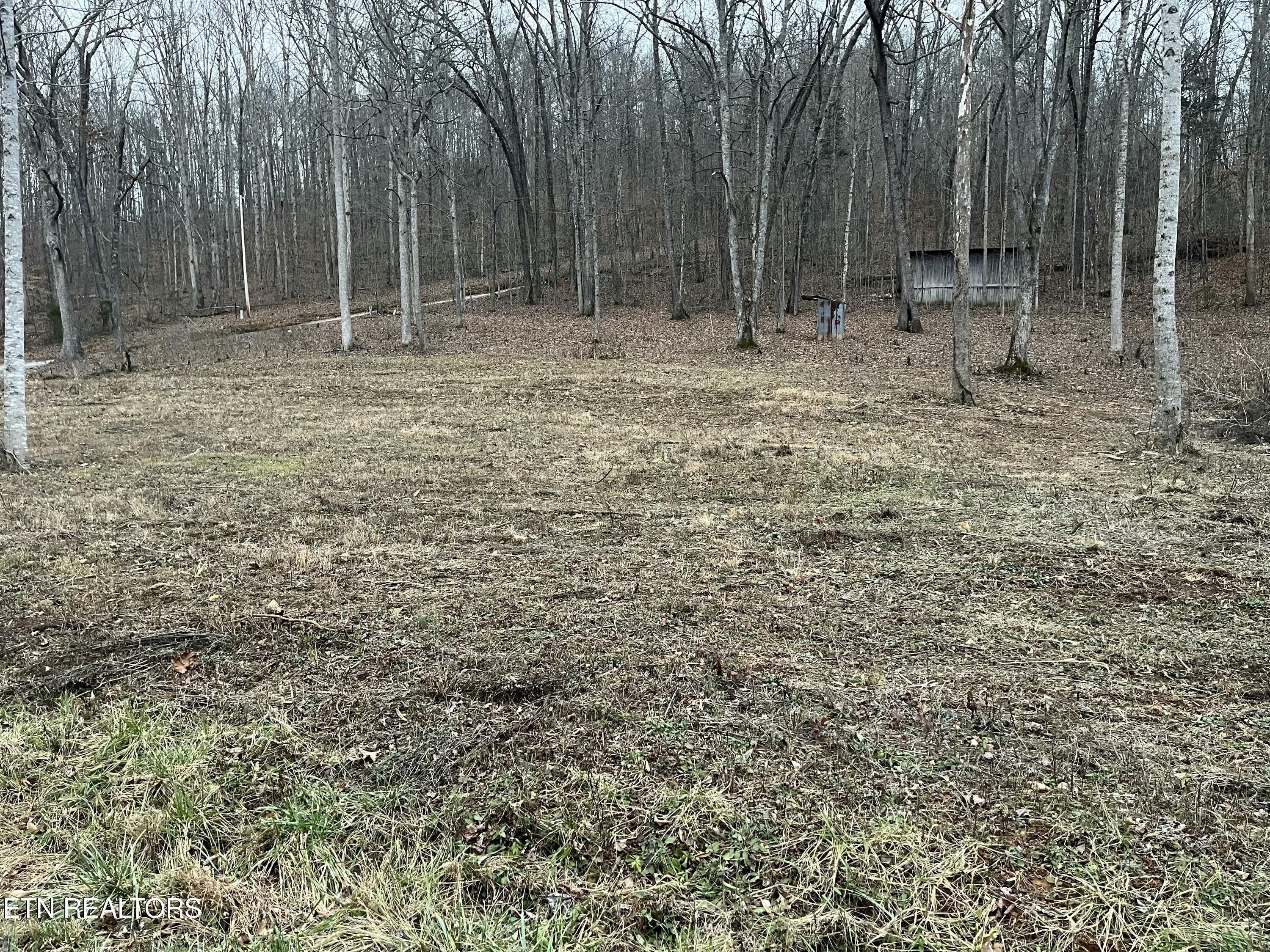 Leadmine Bend Rd, Sharps Chapel, TN - Norris Lake Real Estate - Image# 1