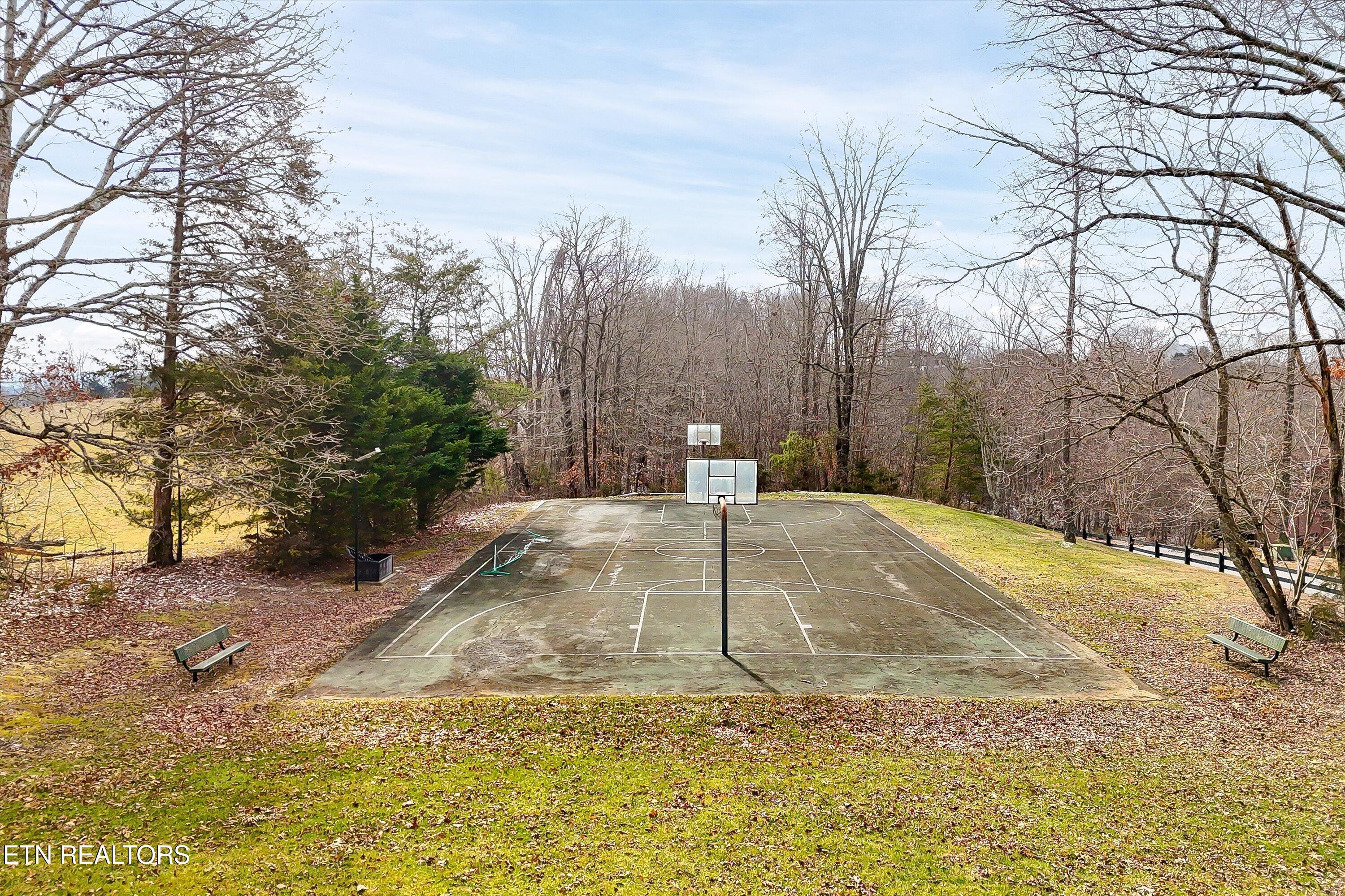 Norris Lake Real Estate - Image# 15