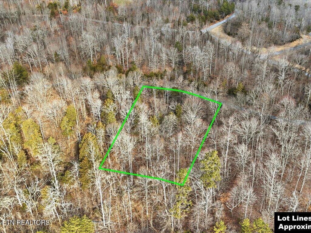 Norris Lake Real Estate - Image# 17