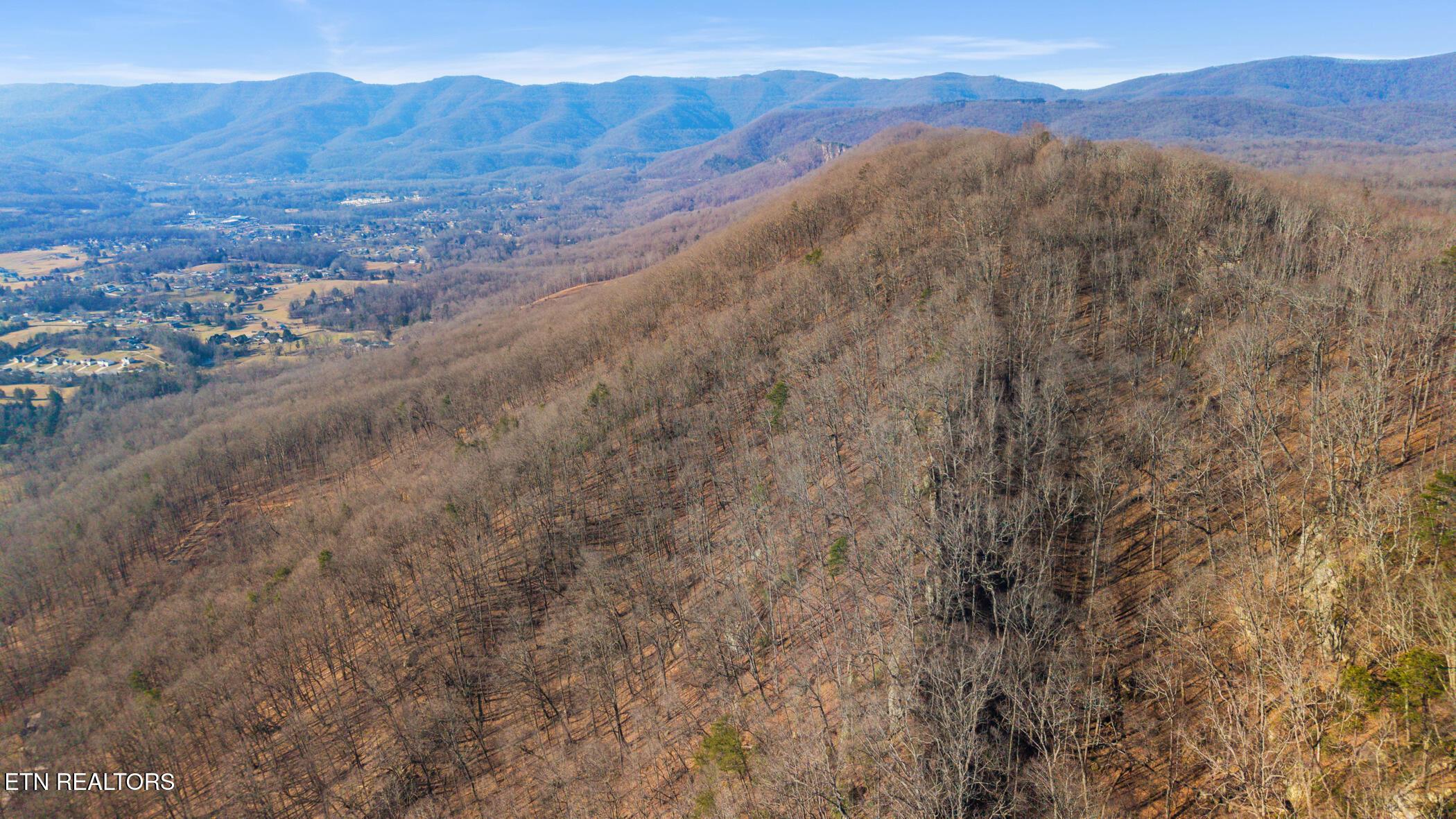 Norris Lake Real Estate - Image# 24