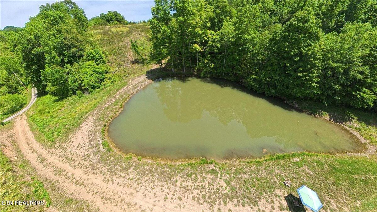 Norris Lake Real Estate - Image# 29