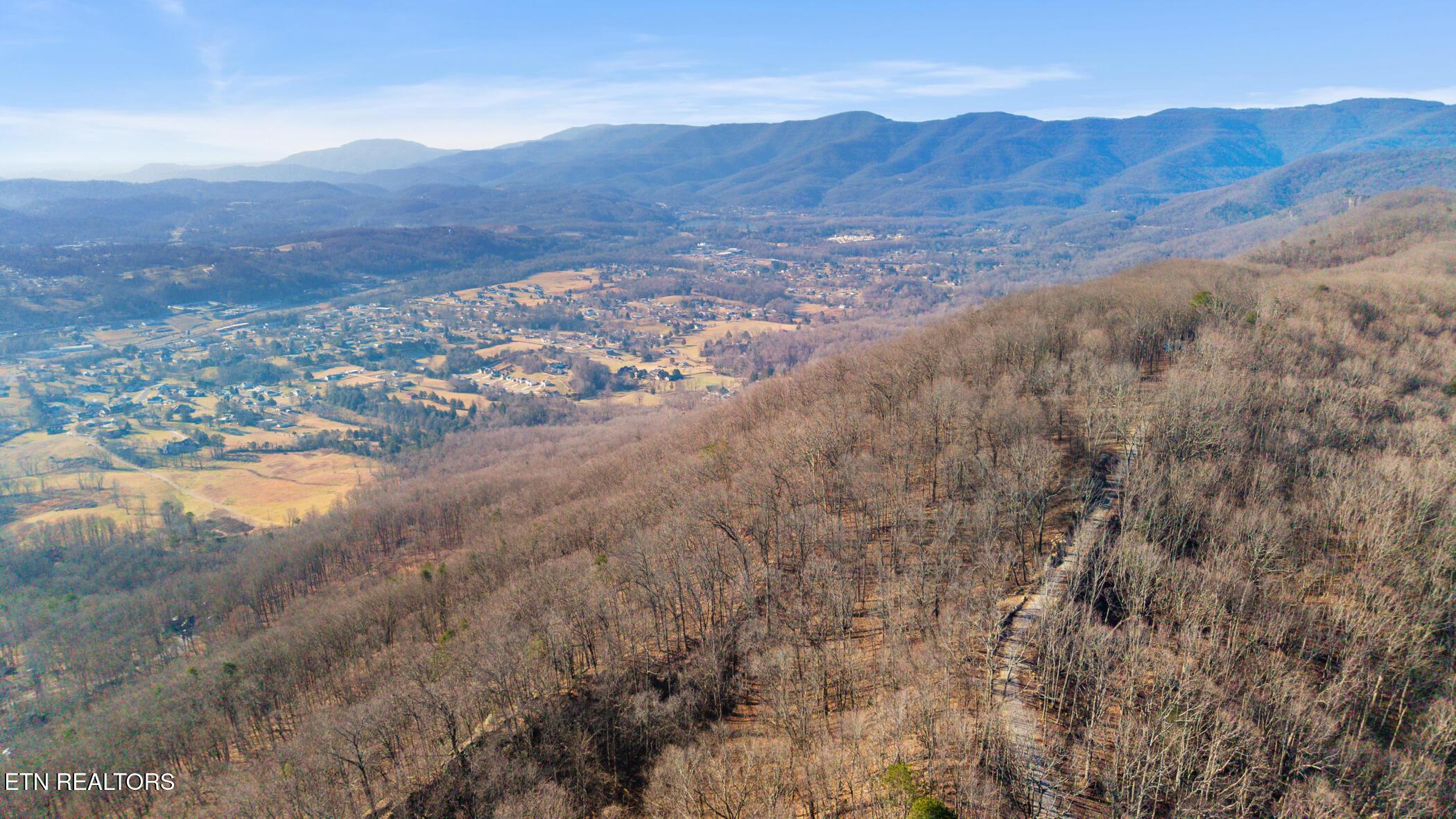 Norris Lake Real Estate - Image# 10