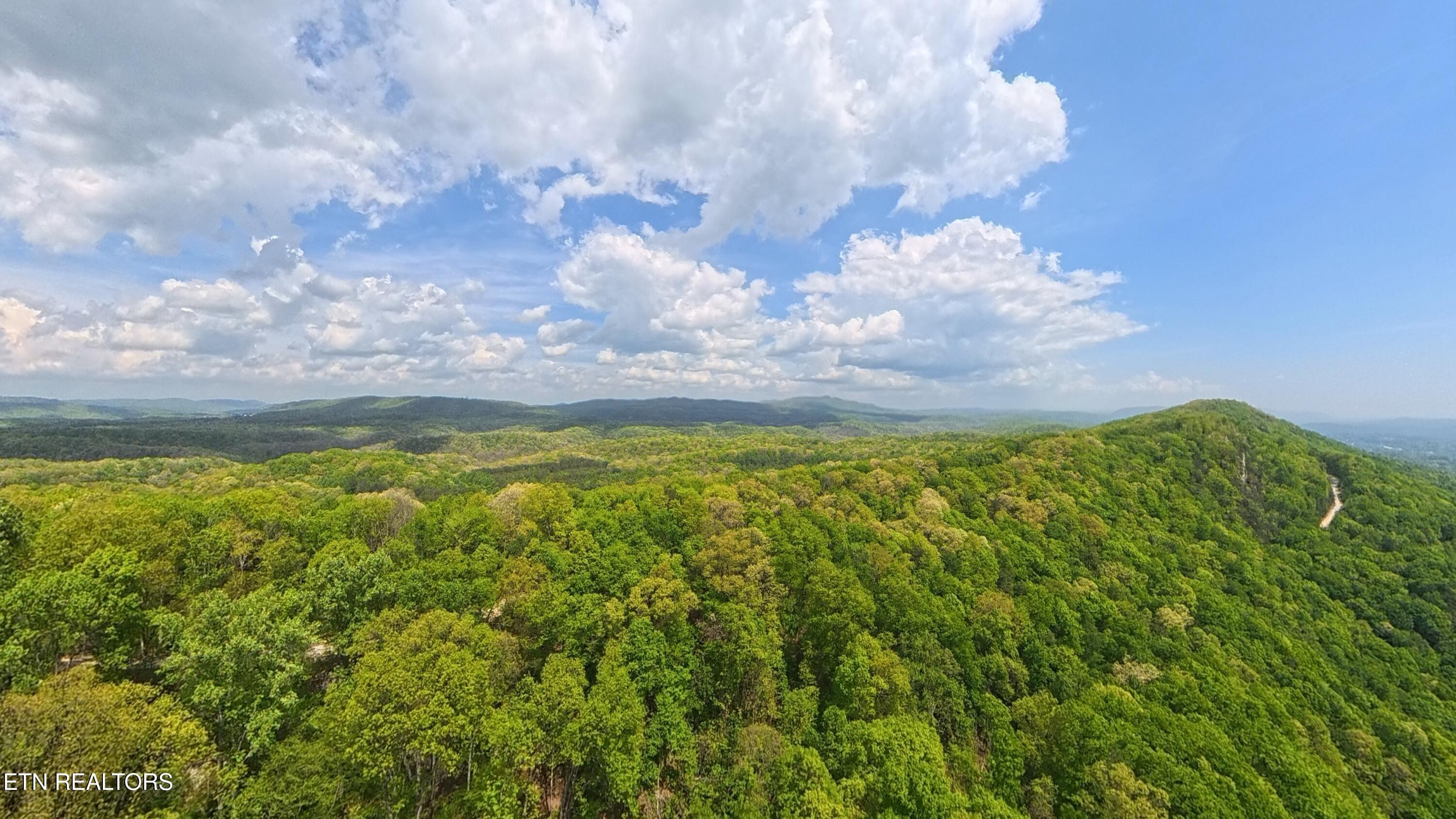 Norris Lake Real Estate - Image# 8