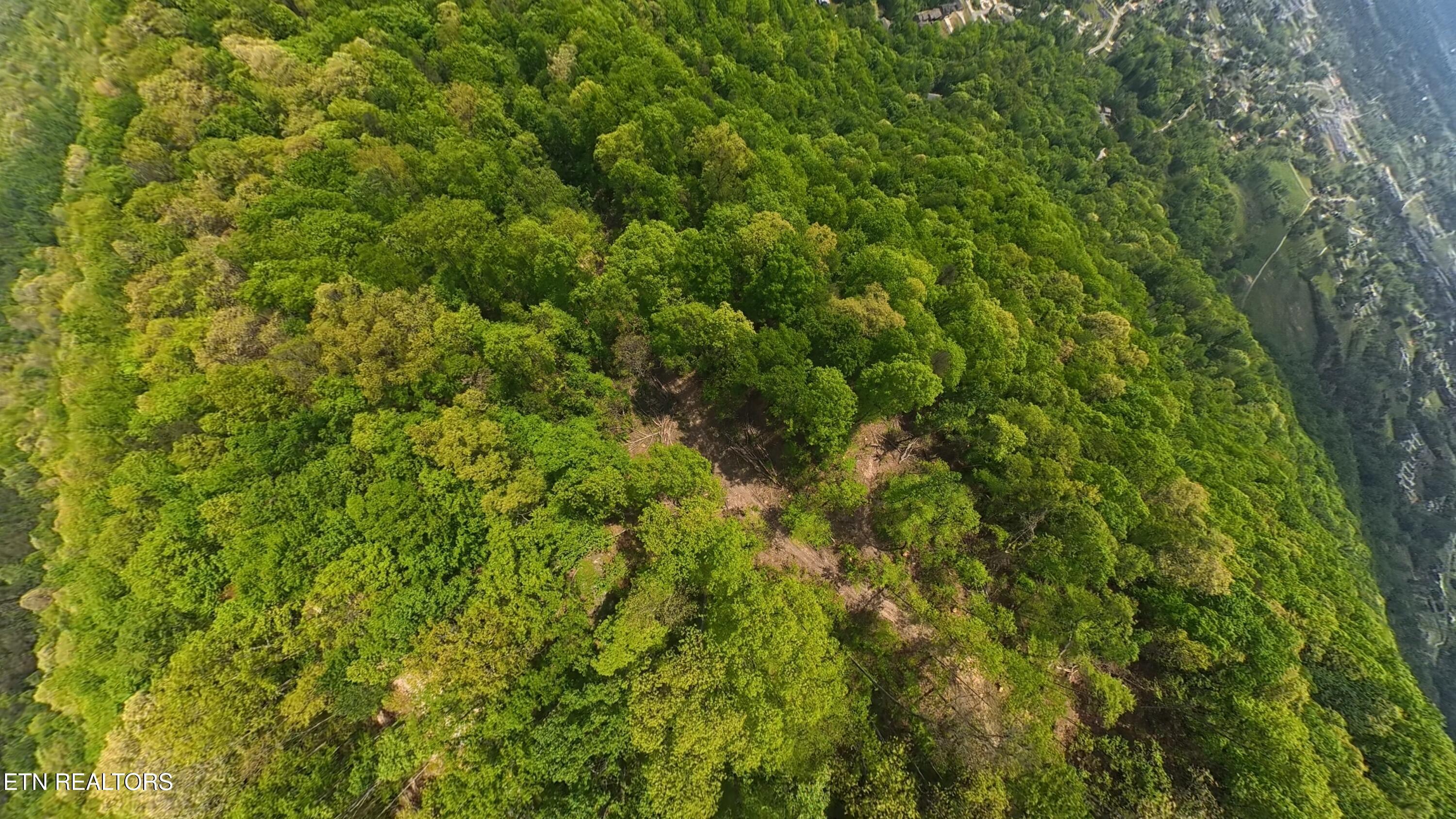 Norris Lake Real Estate - Image# 6