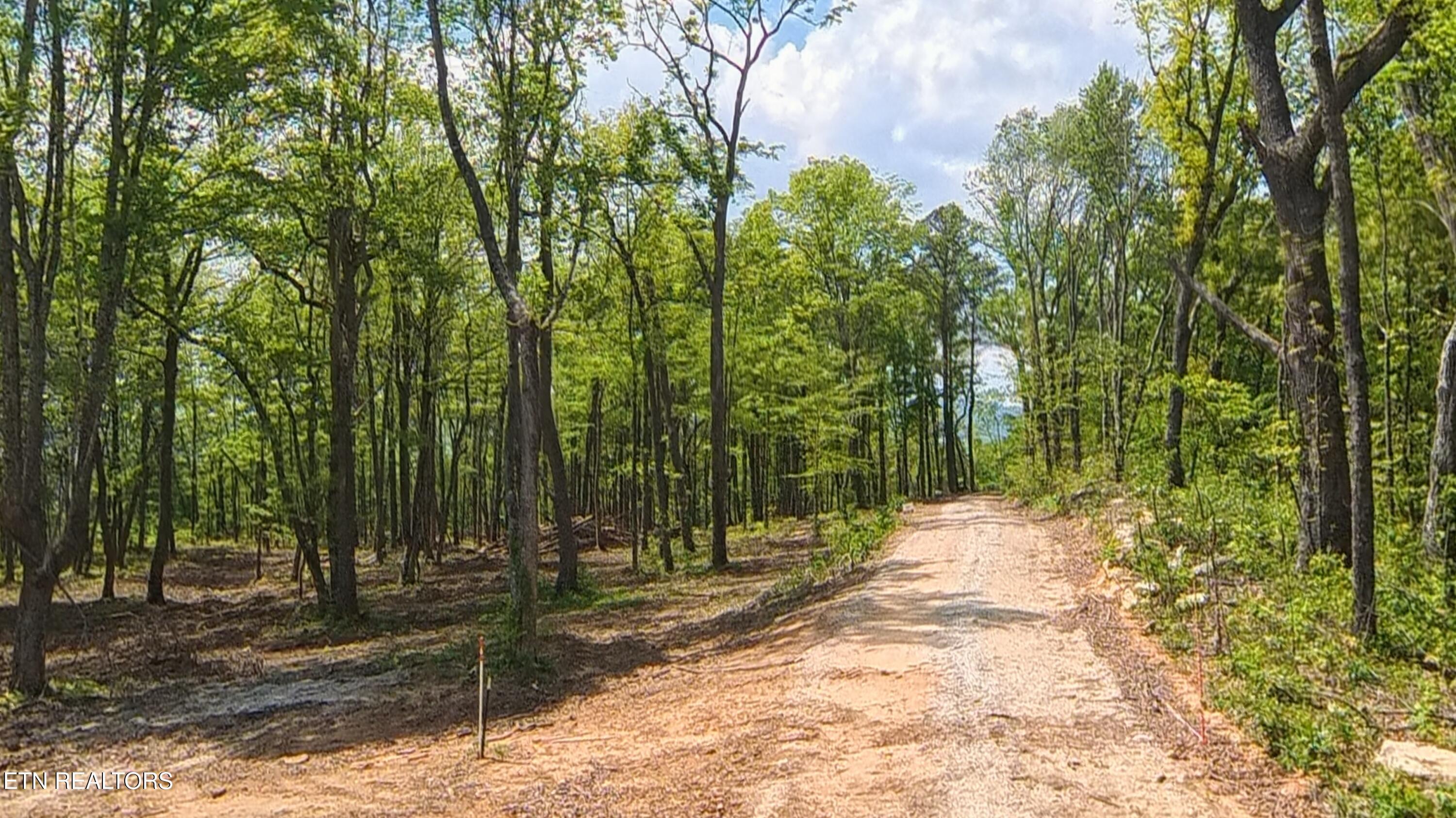 Norris Lake Real Estate - Image# 11
