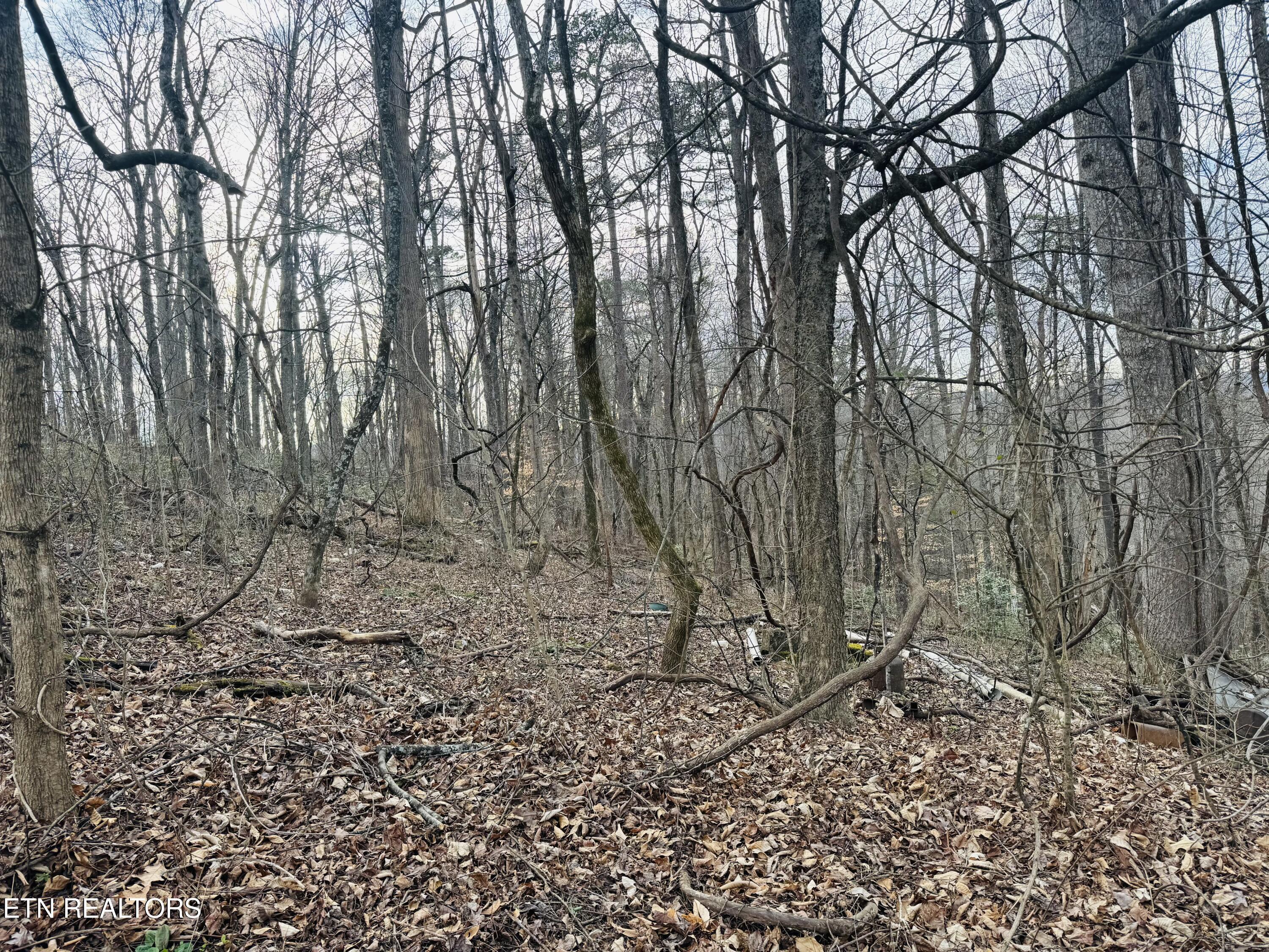 106 Echo Valley Rd, Rocky Top, TN - Norris Lake Real Estate - Image# 13