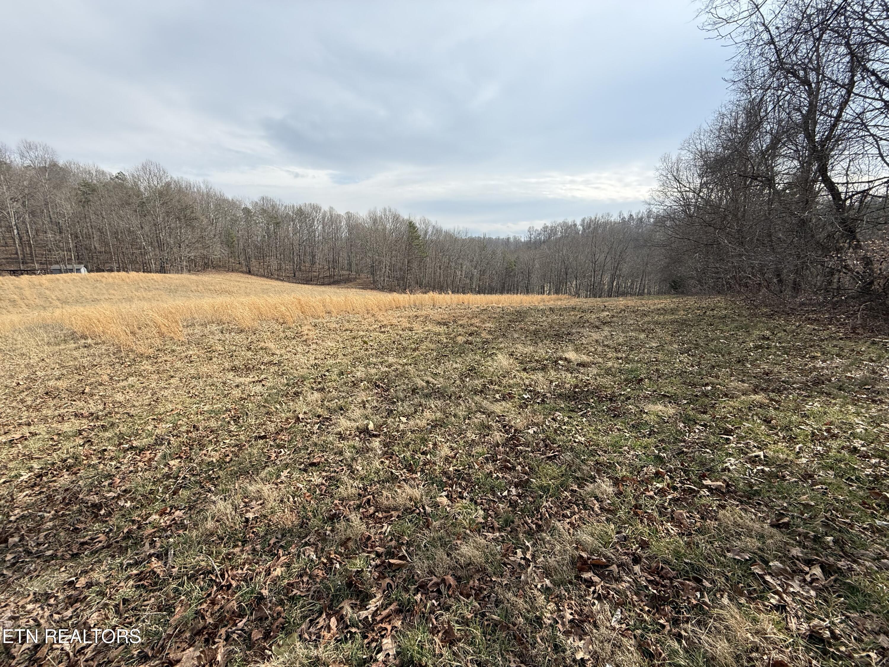 303 Tar Town Hollow Lane, Lafollette, TN - Norris Lake Real Estate - Image# 5