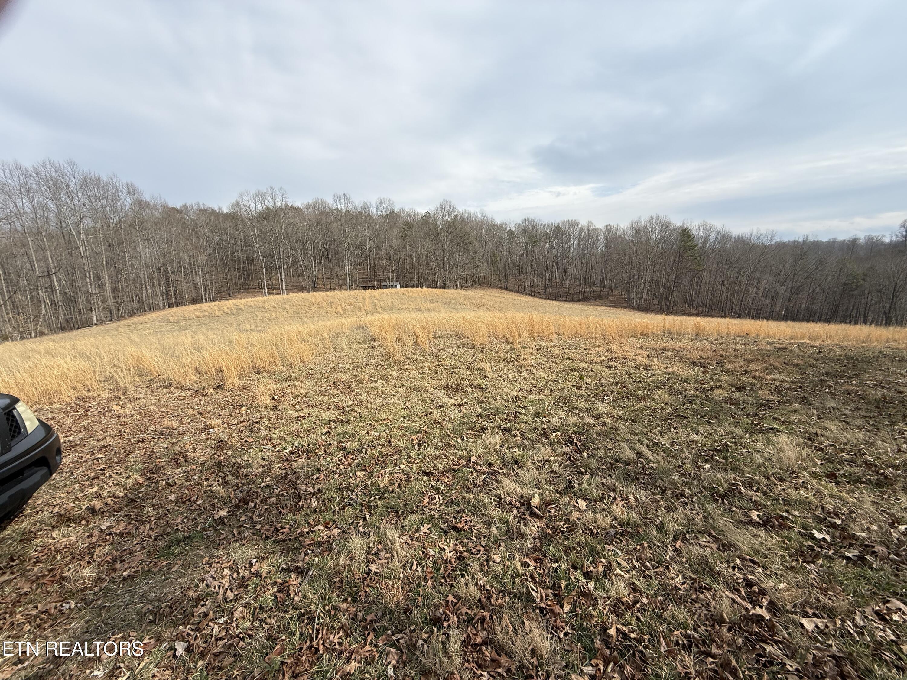 303 Tar Town Hollow Lane, Lafollette, TN - Norris Lake Real Estate - Image# 7