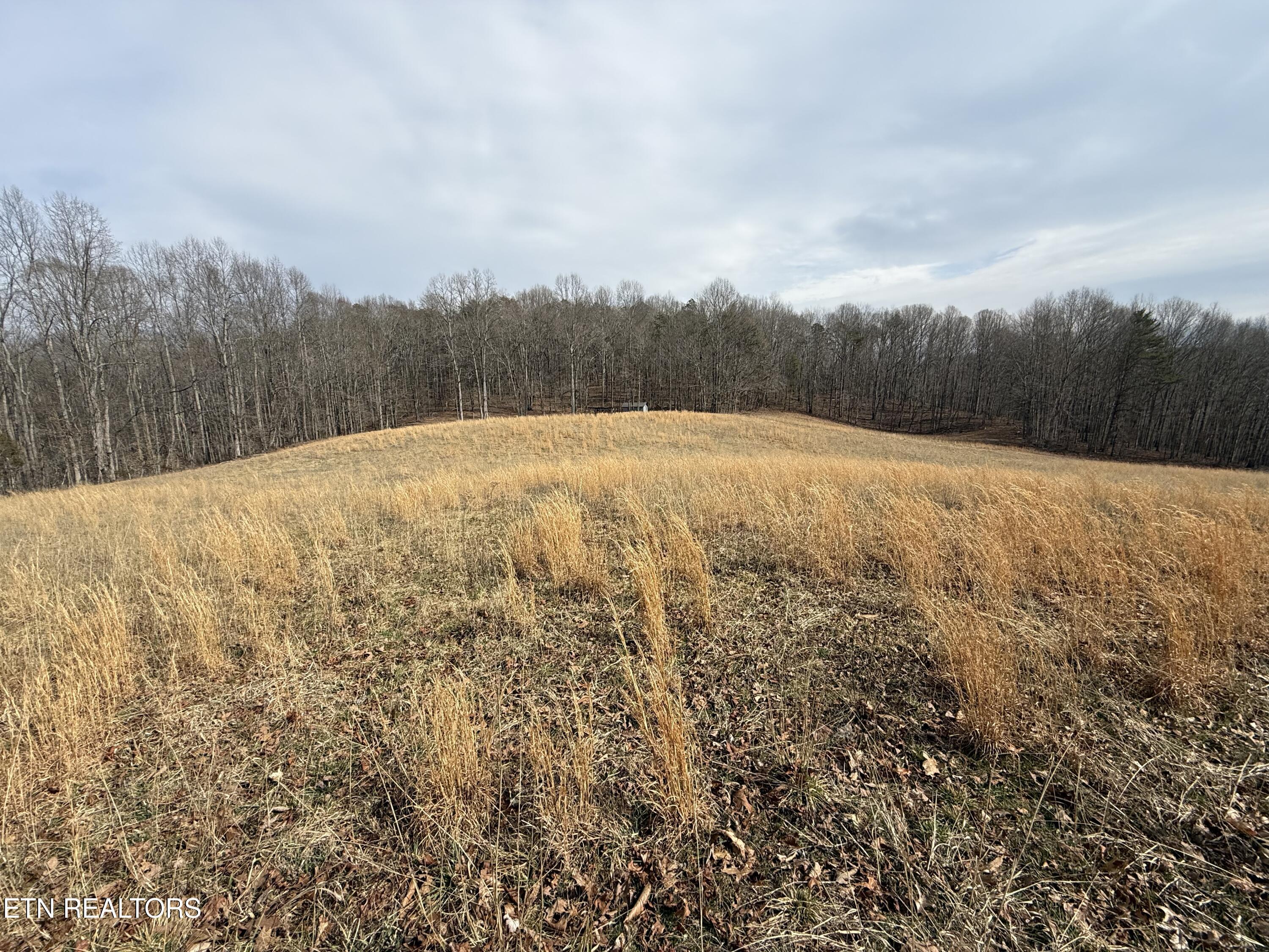 303 Tar Town Hollow Lane, Lafollette, TN - Norris Lake Real Estate - Image# 8