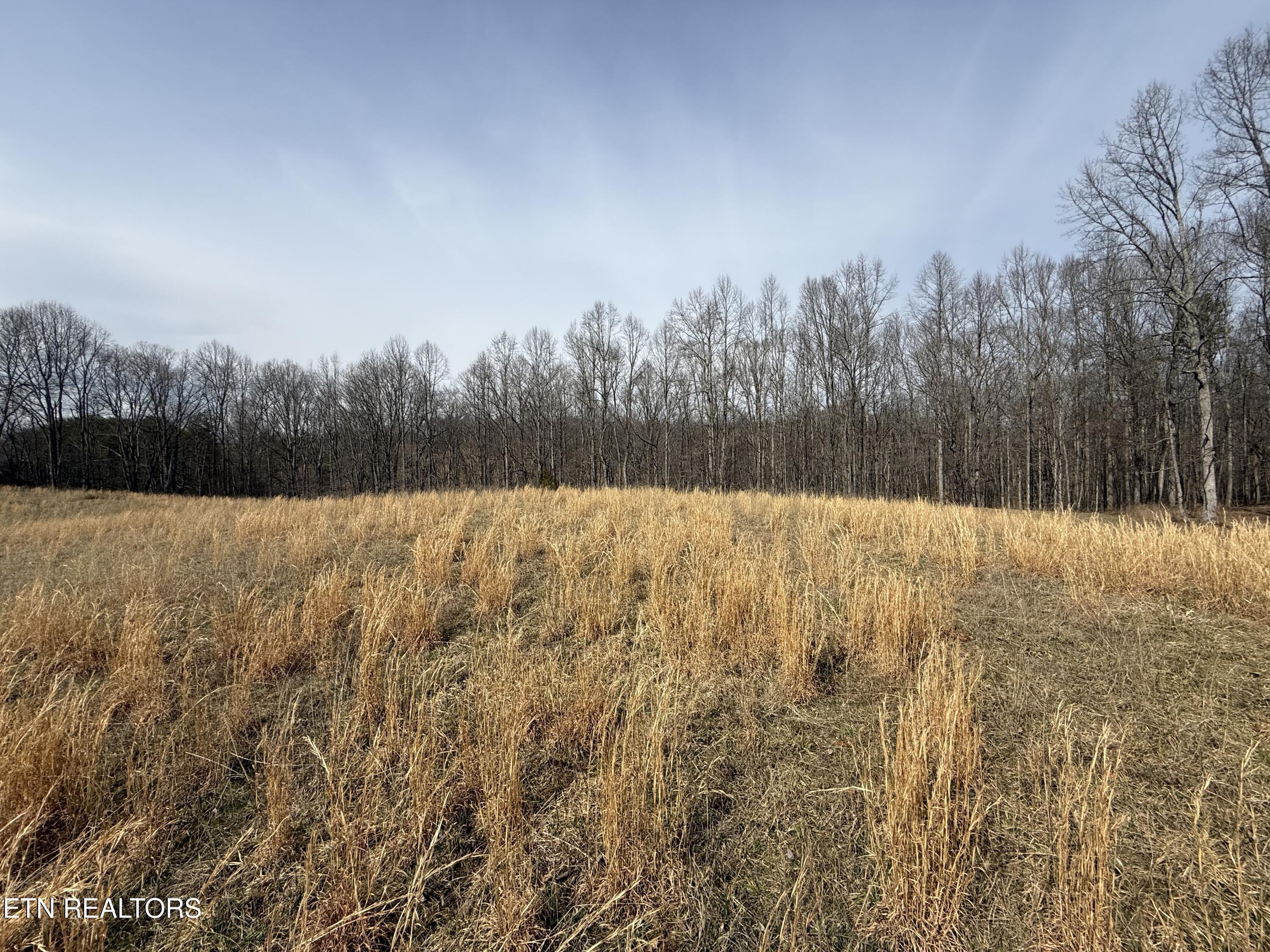303 Tar Town Hollow Lane, Lafollette, TN - Norris Lake Real Estate - Image# 11