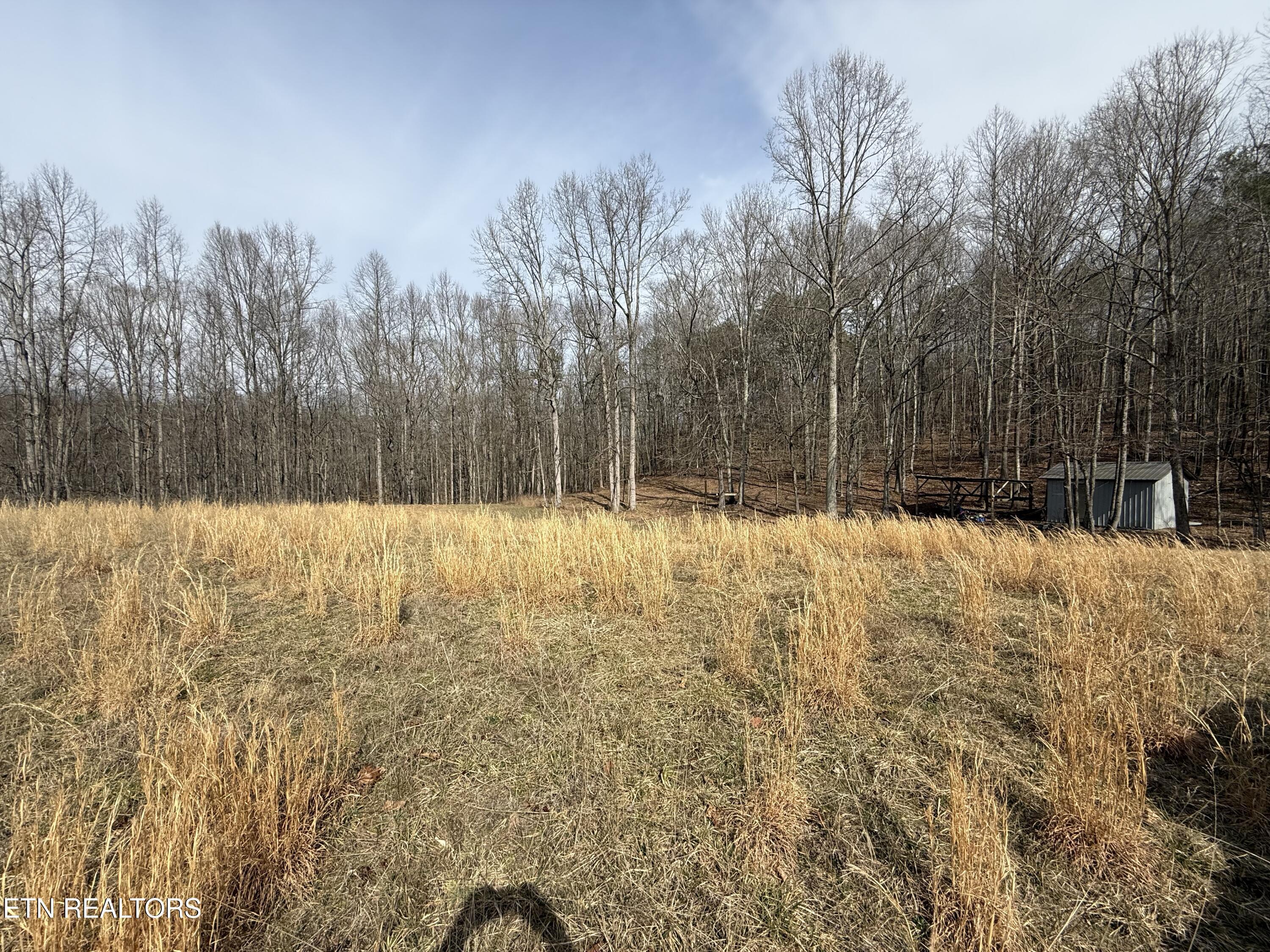 303 Tar Town Hollow Lane, Lafollette, TN - Norris Lake Real Estate - Image# 12