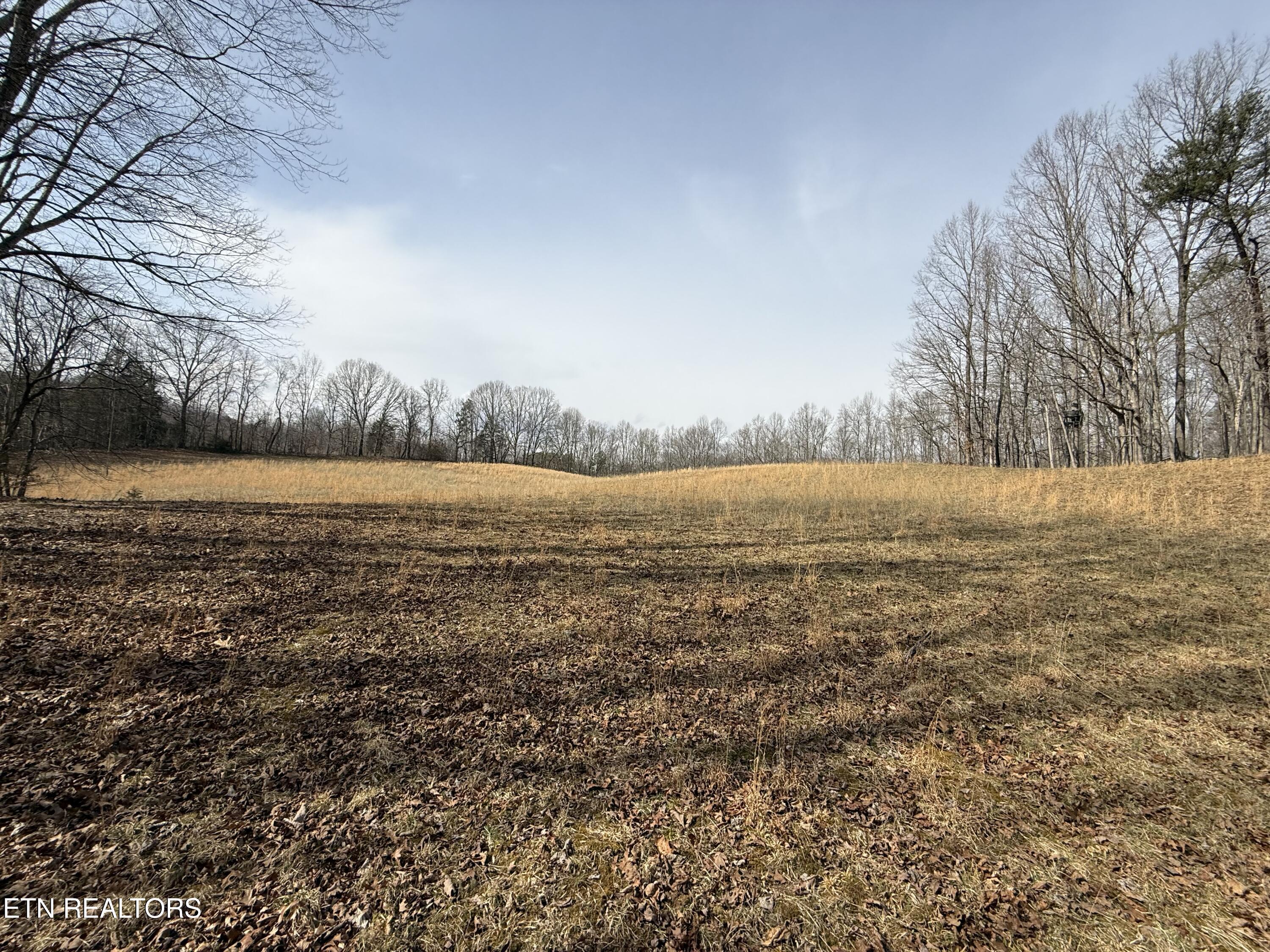 303 Tar Town Hollow Lane, Lafollette, TN - Norris Lake Real Estate - Image# 4