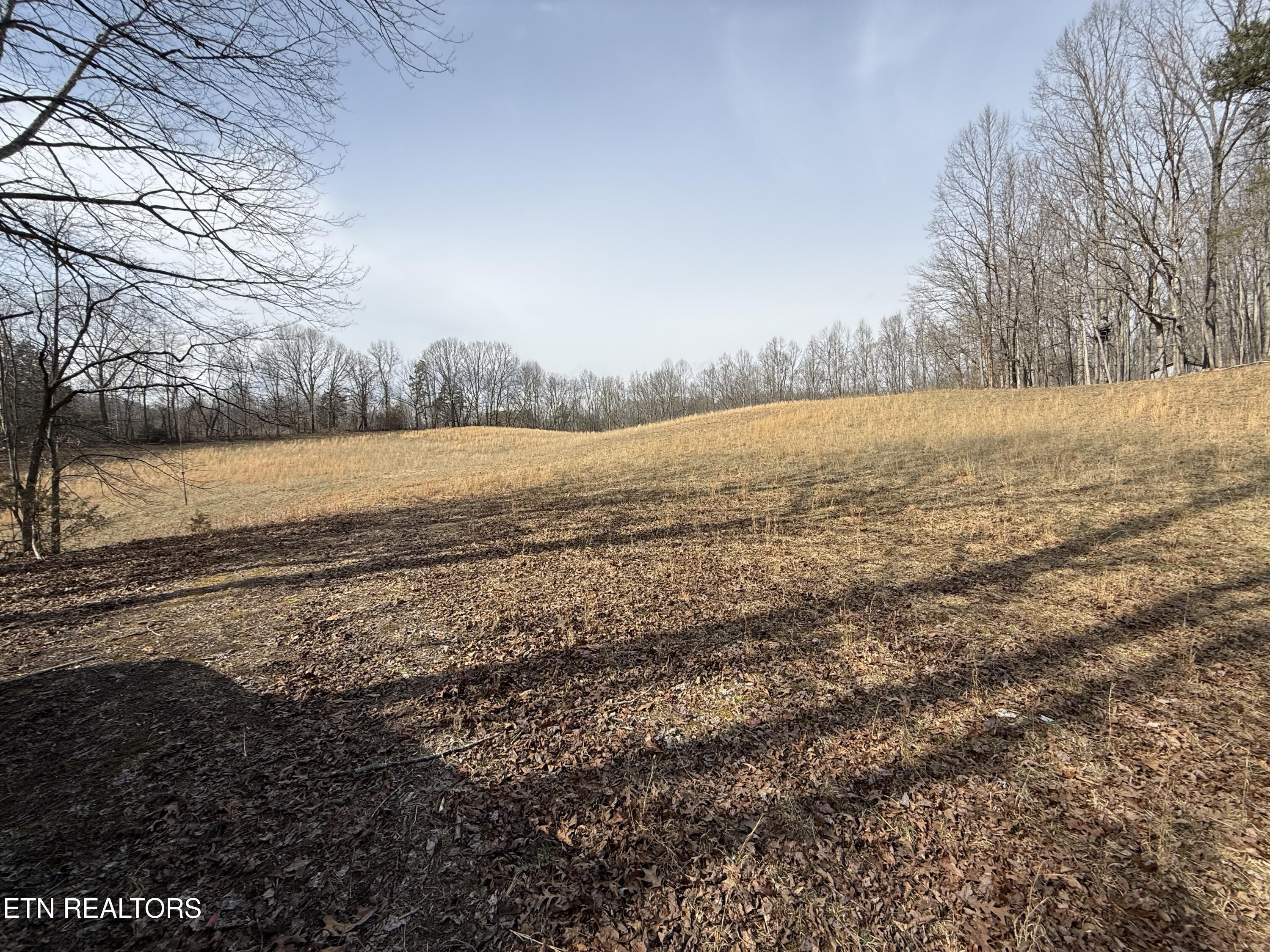 303 Tar Town Hollow Lane, Lafollette, TN - Norris Lake Real Estate - Image# 14