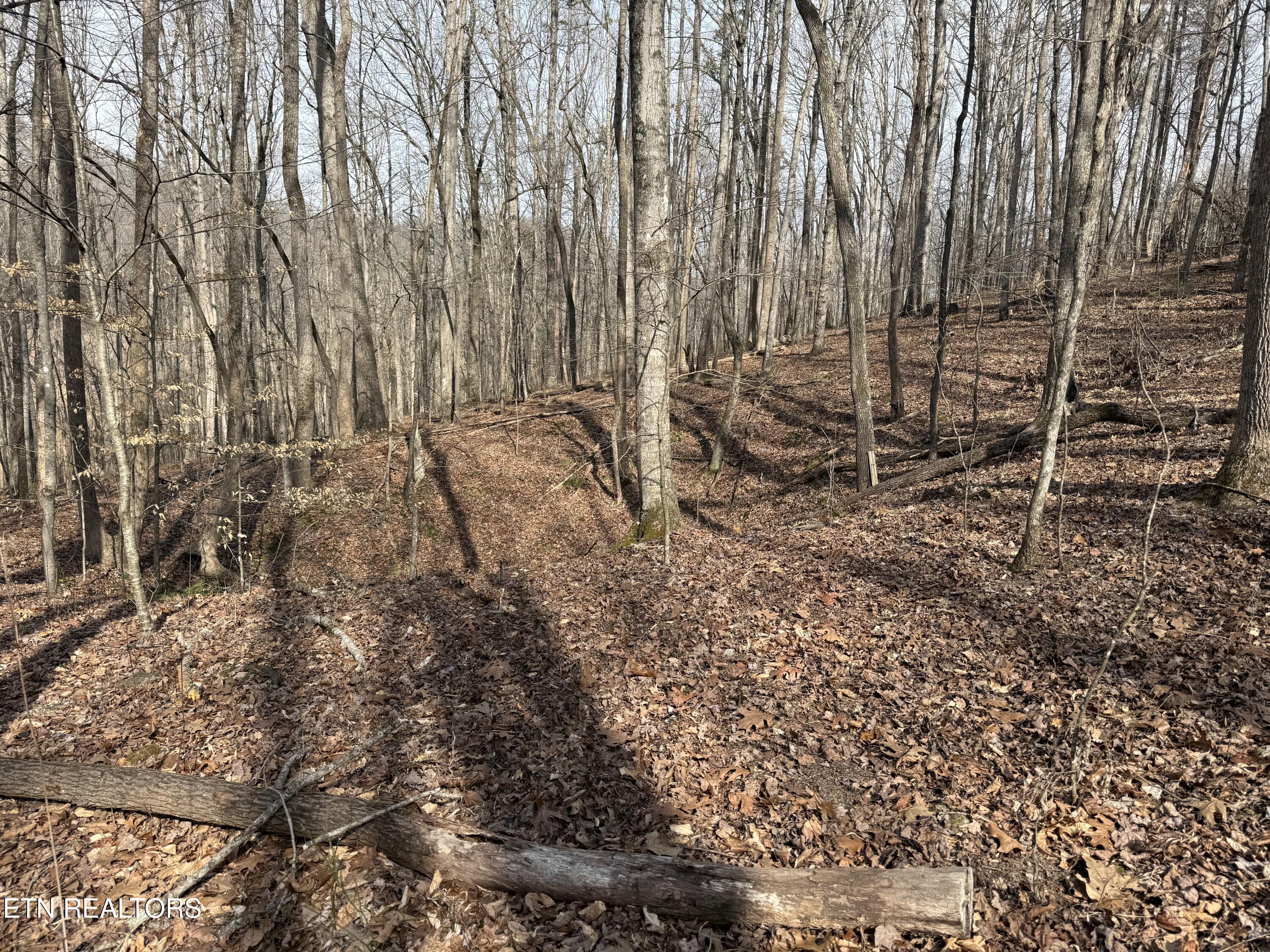303 Tar Town Hollow Lane, Lafollette, TN - Norris Lake Real Estate - Image# 16