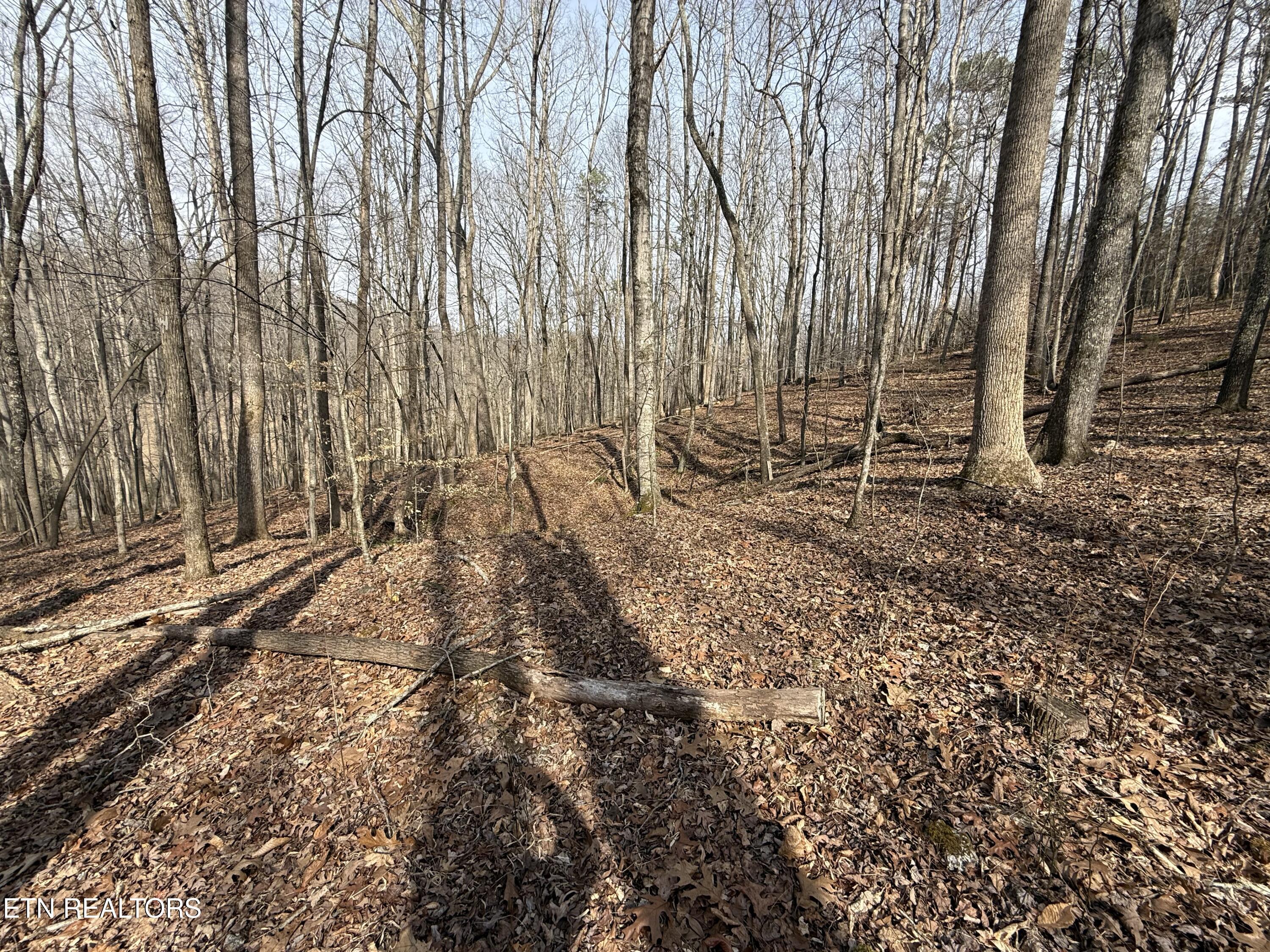 303 Tar Town Hollow Lane, Lafollette, TN - Norris Lake Real Estate - Image# 17