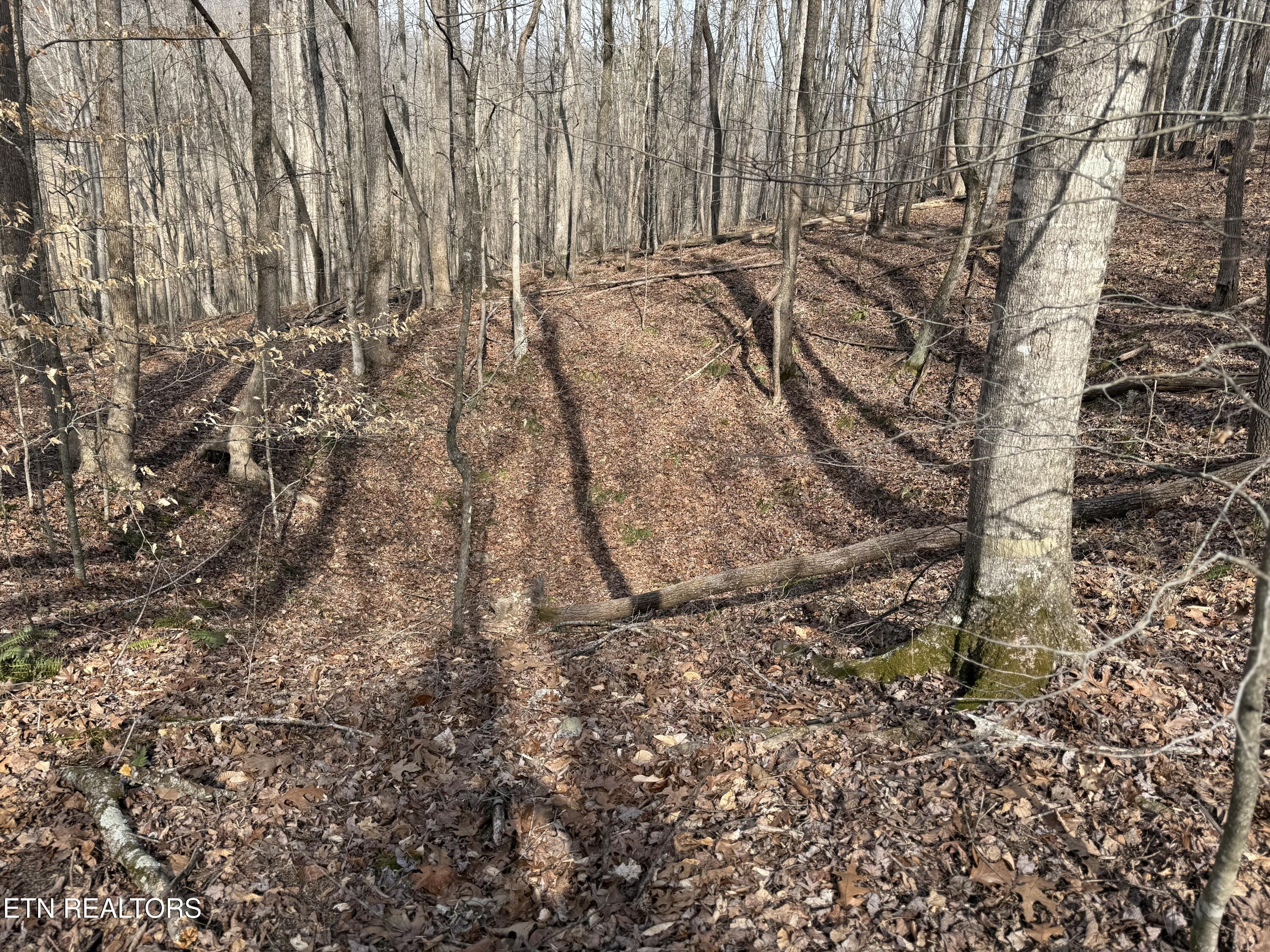 303 Tar Town Hollow Lane, Lafollette, TN - Norris Lake Real Estate - Image# 19