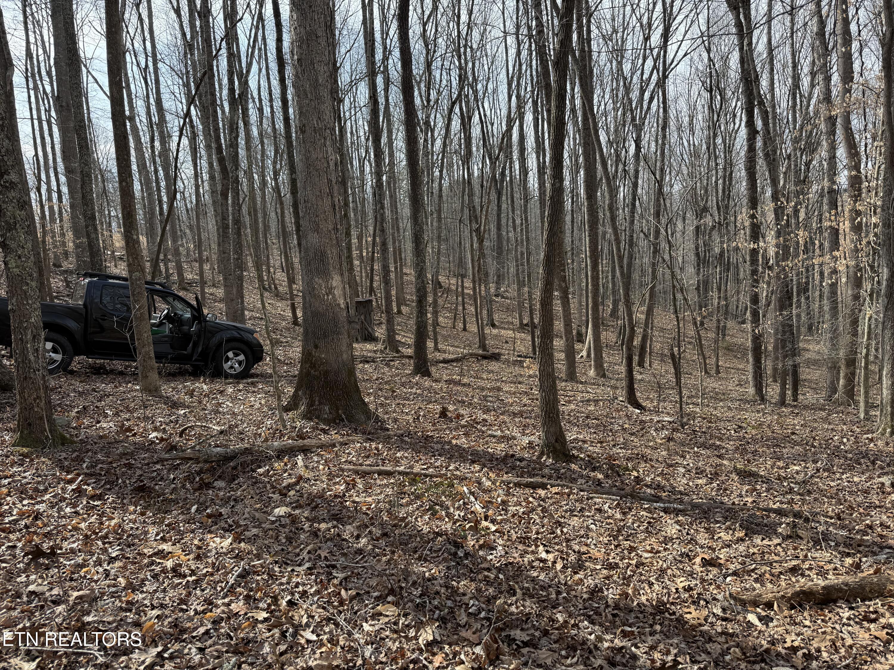 303 Tar Town Hollow Lane, Lafollette, TN - Norris Lake Real Estate - Image# 20