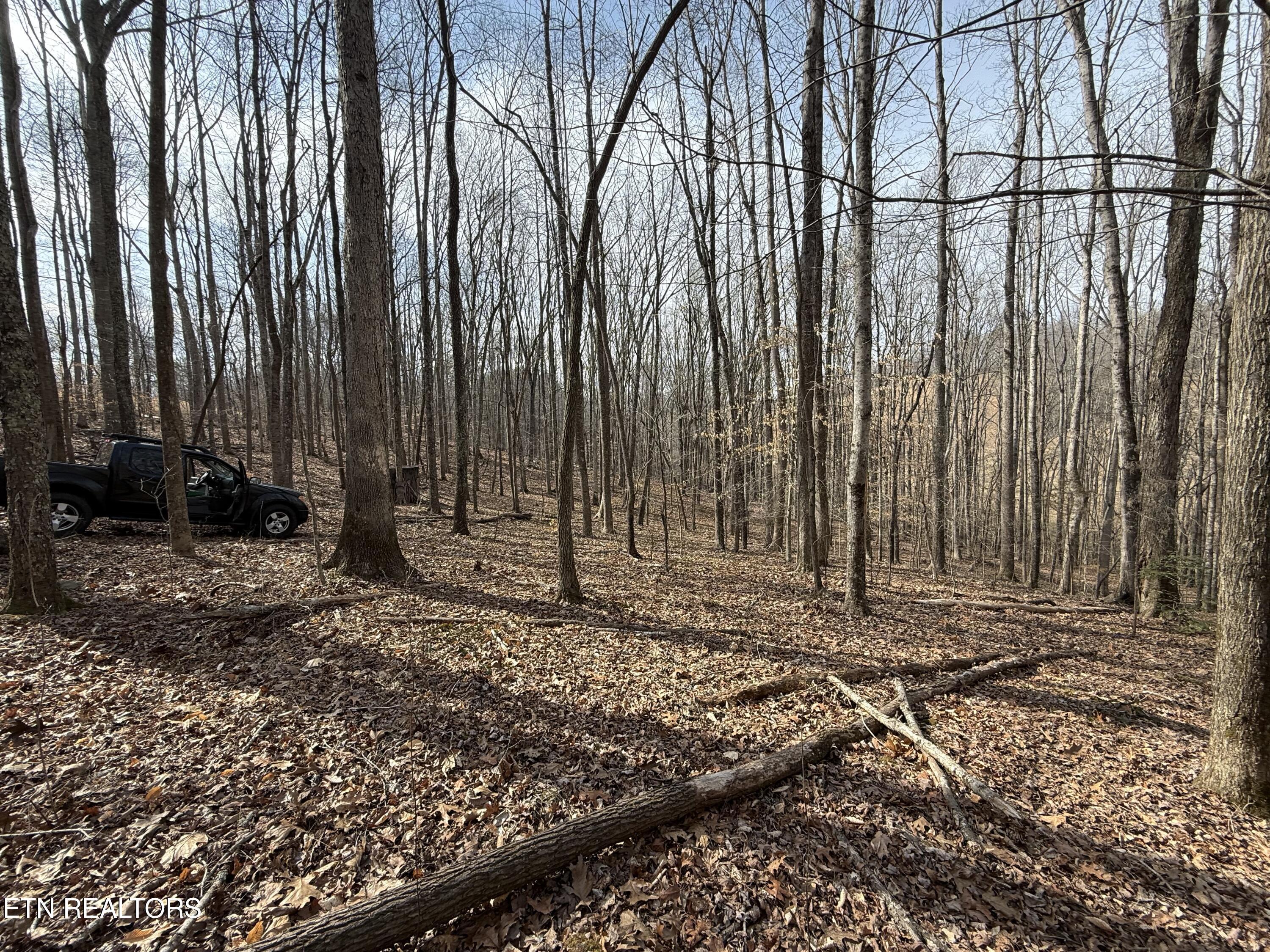 303 Tar Town Hollow Lane, Lafollette, TN - Norris Lake Real Estate - Image# 21
