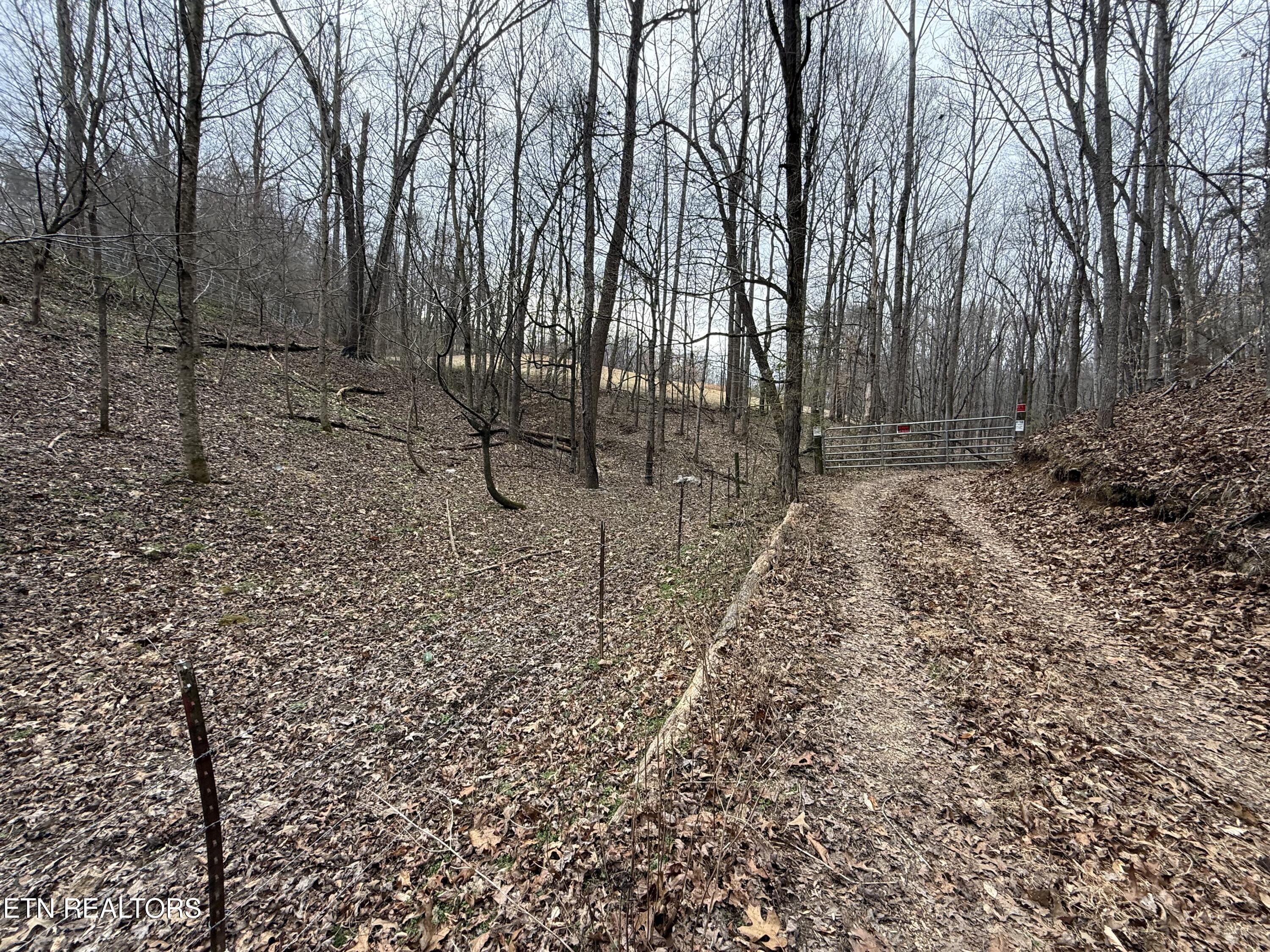 303 Tar Town Hollow Lane, Lafollette, TN - Norris Lake Real Estate - Image# 24