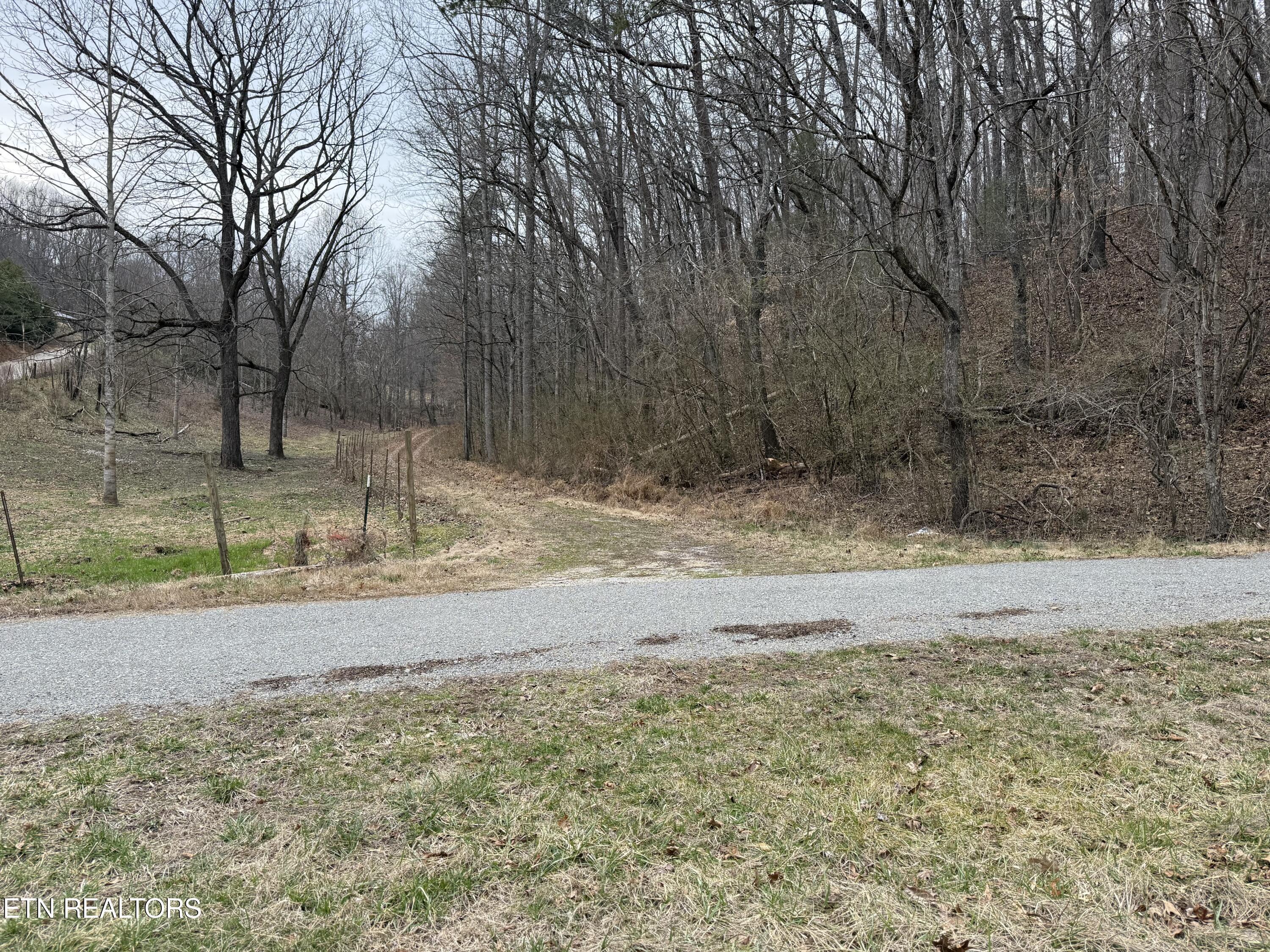 Norris Lake Real Estate - Image# 26